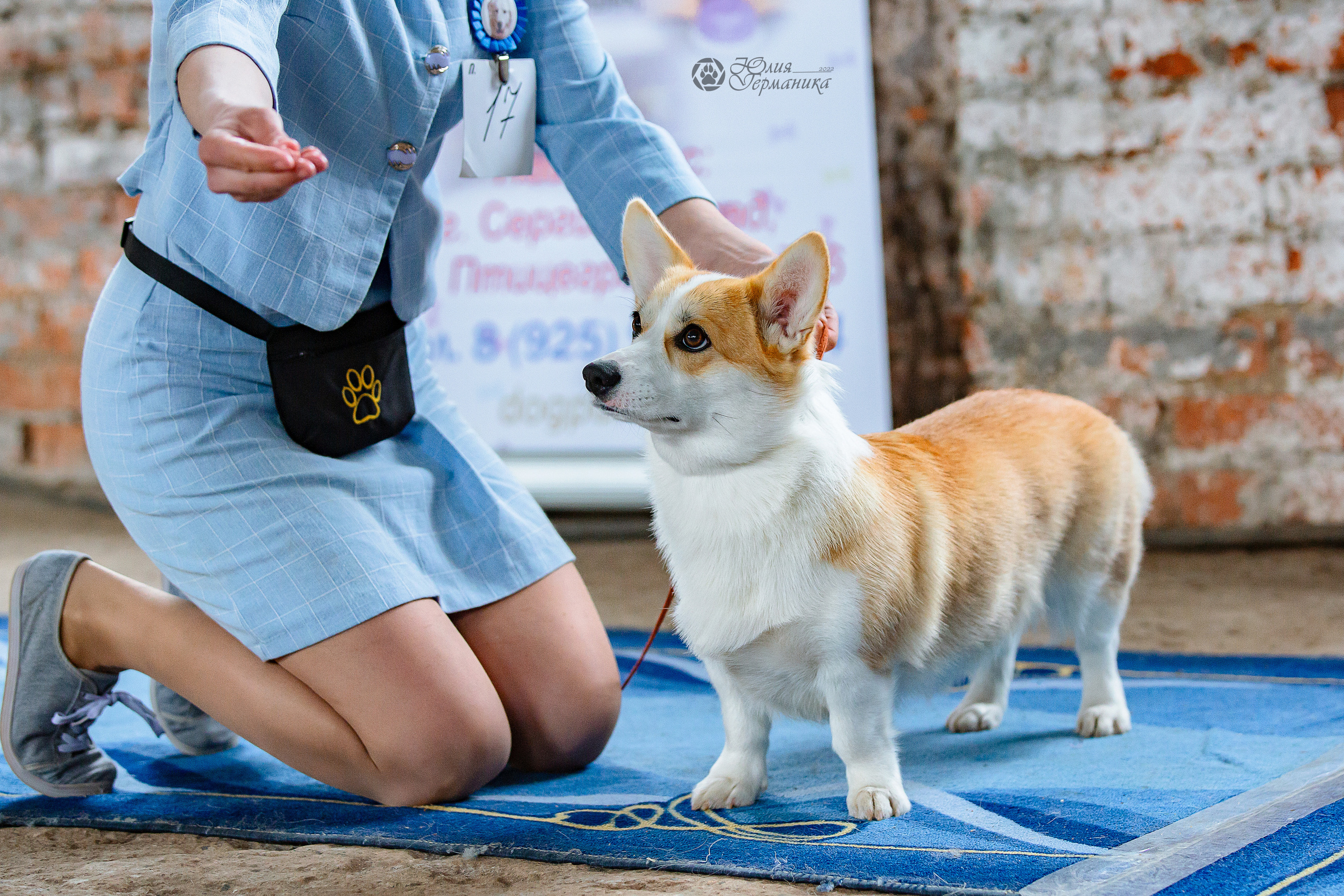 Сергиев Посад 23.04.2022. Фотограф-анималист Юлия Германика