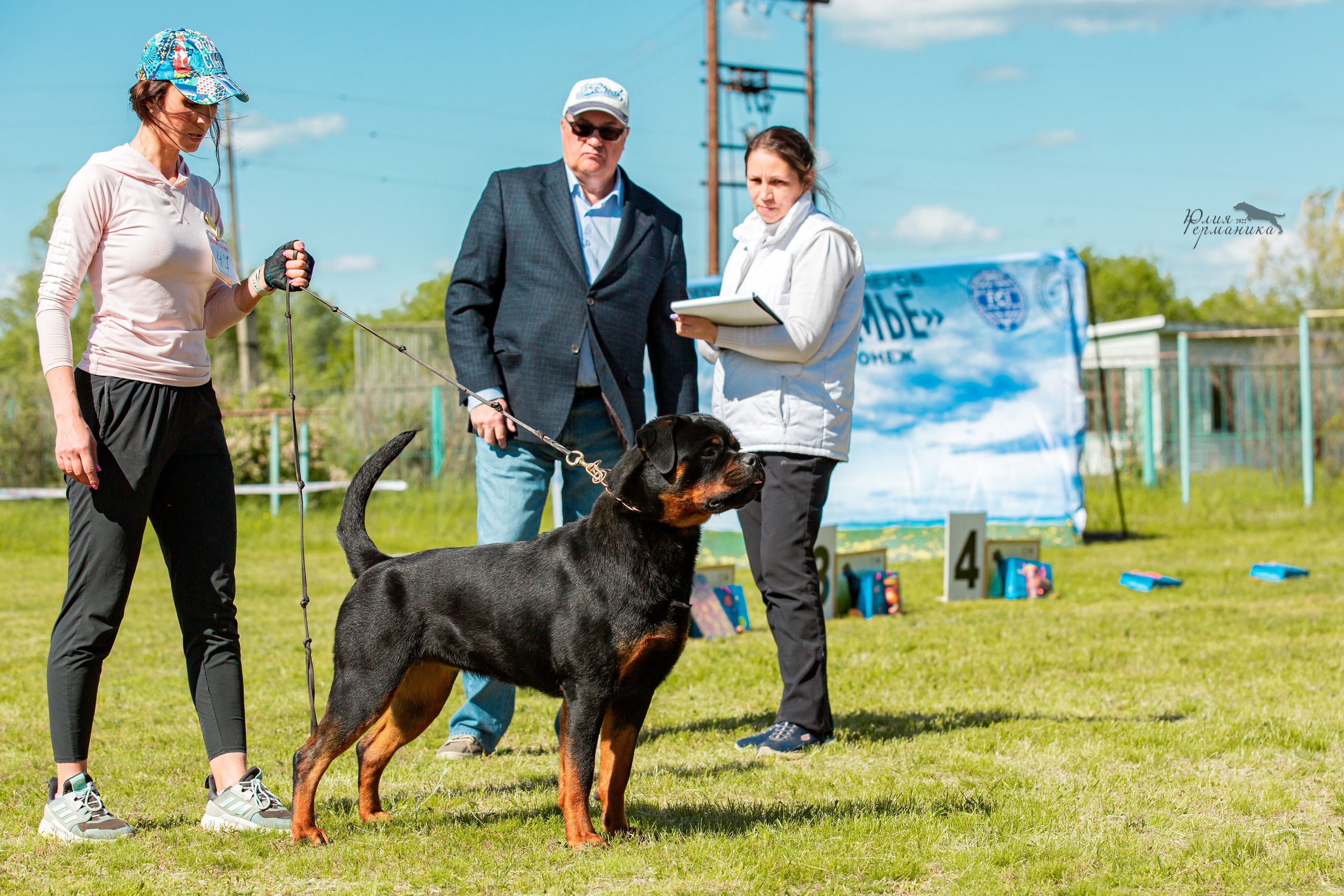 Воронеж моно ротвейлеров 28-29 мая 2022. Фотограф-анималист Юлия Германика