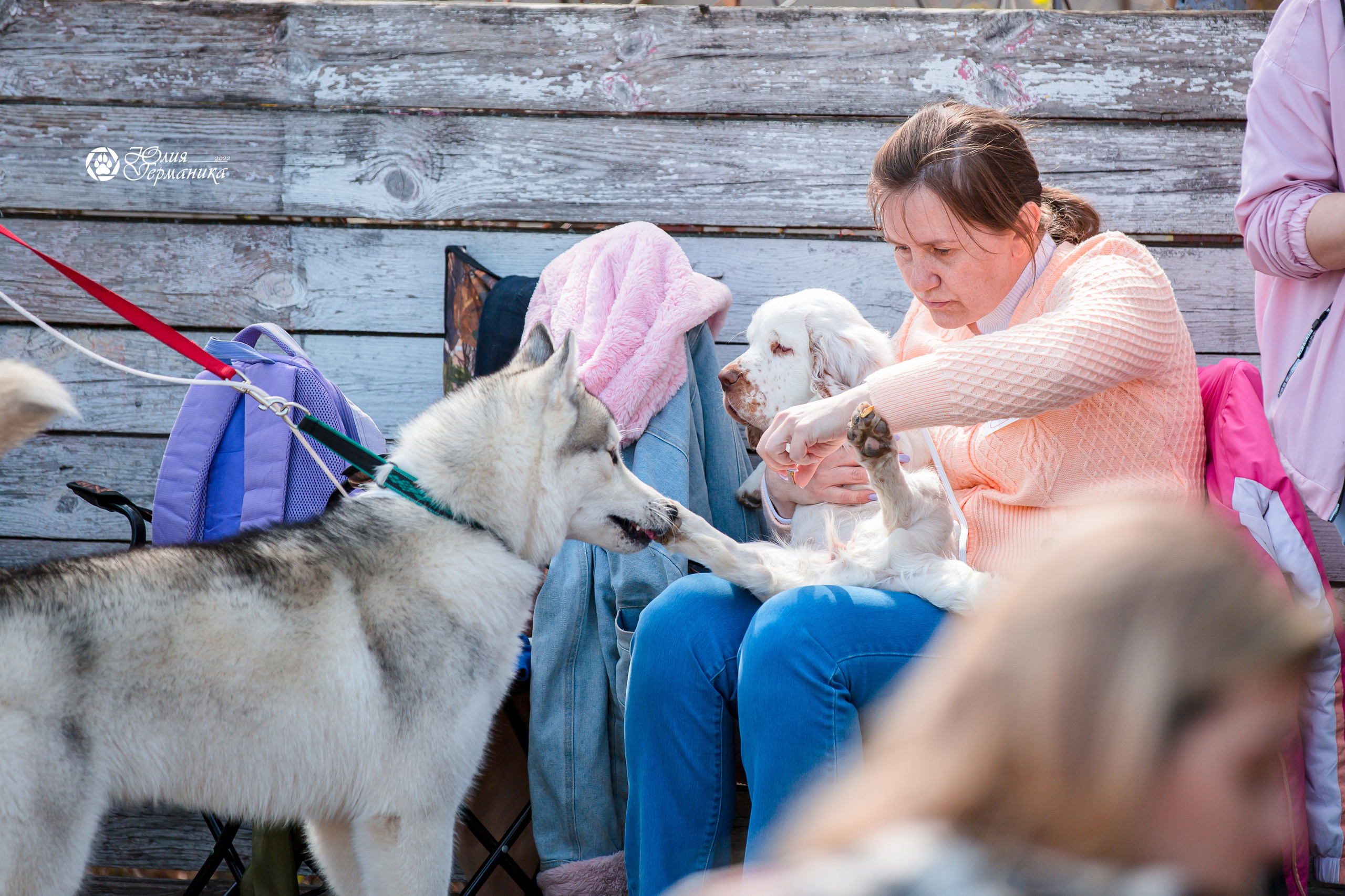 Александров 2хСАС 8 мая 2022. Фотограф-анималист Юлия Германика