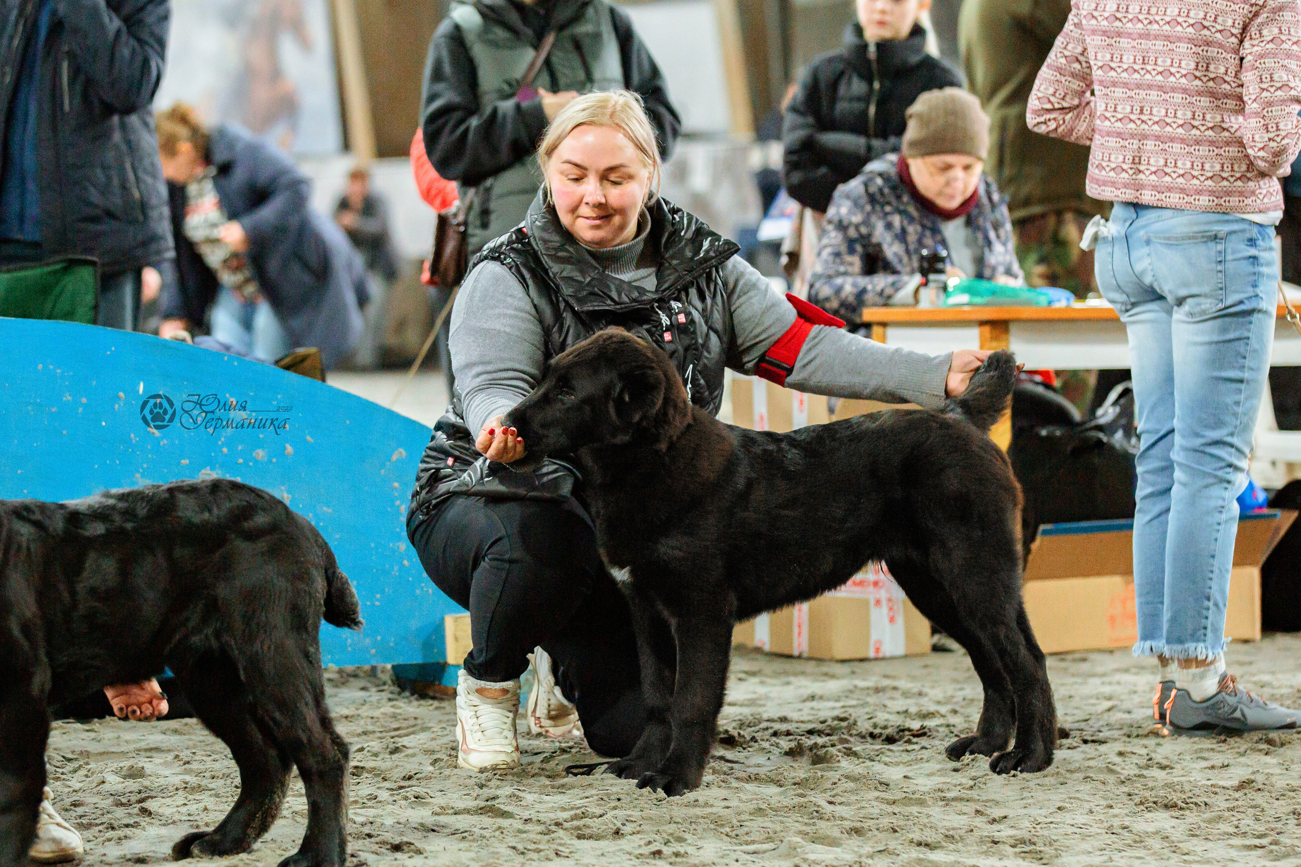 Националка САО+КЧК 24 апреля 2022. Фотограф-анималист Юлия Германика