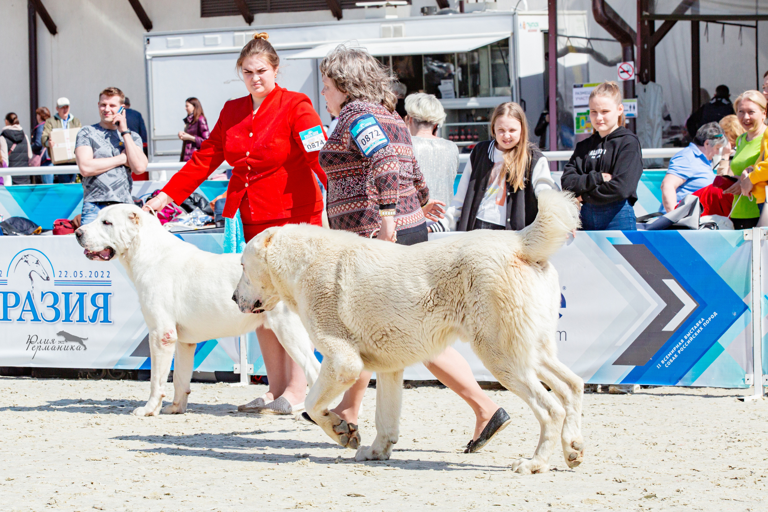 Евразия 21-22 мая 2022. Фотограф-анималист Юлия Германика