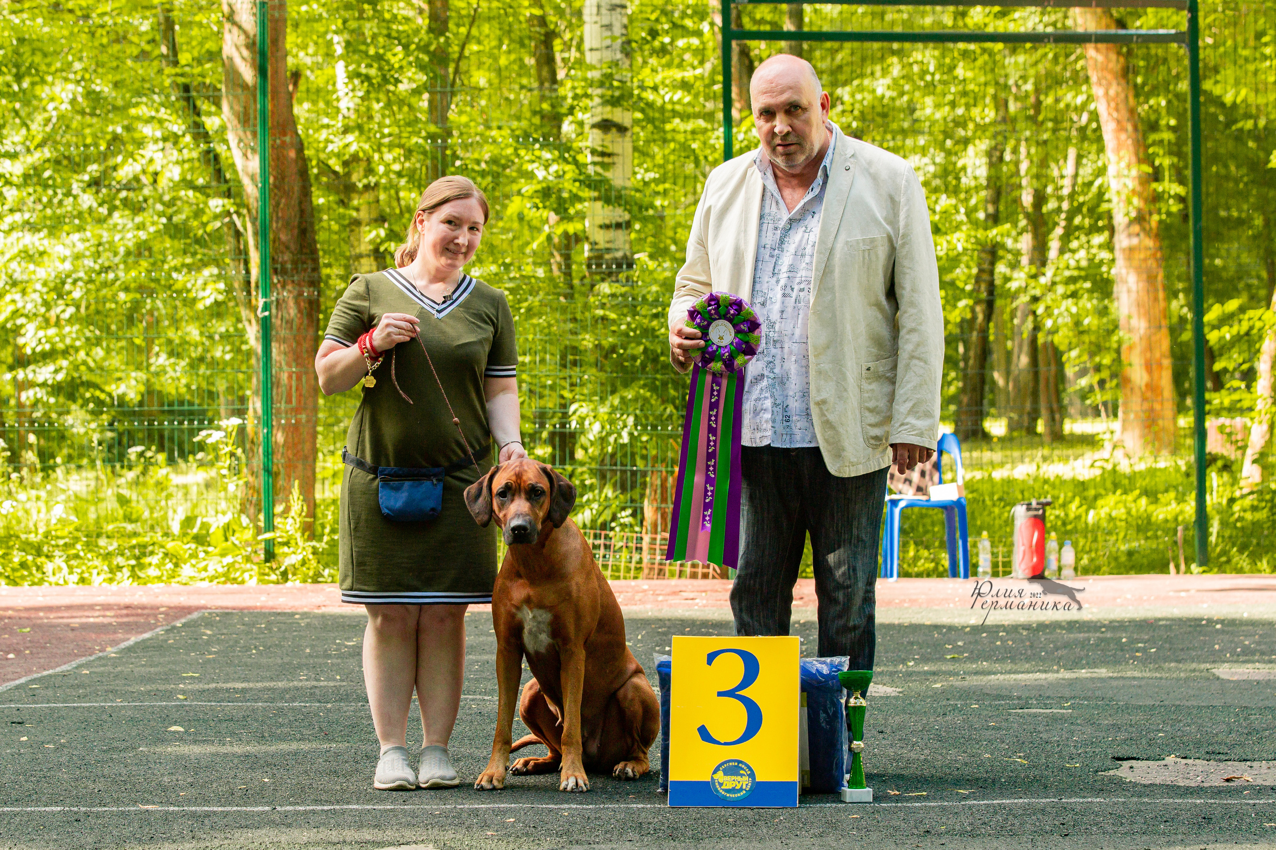 Сергиев Посад 2хСАС 25.06.2022. Фотограф-анималист Юлия Германика