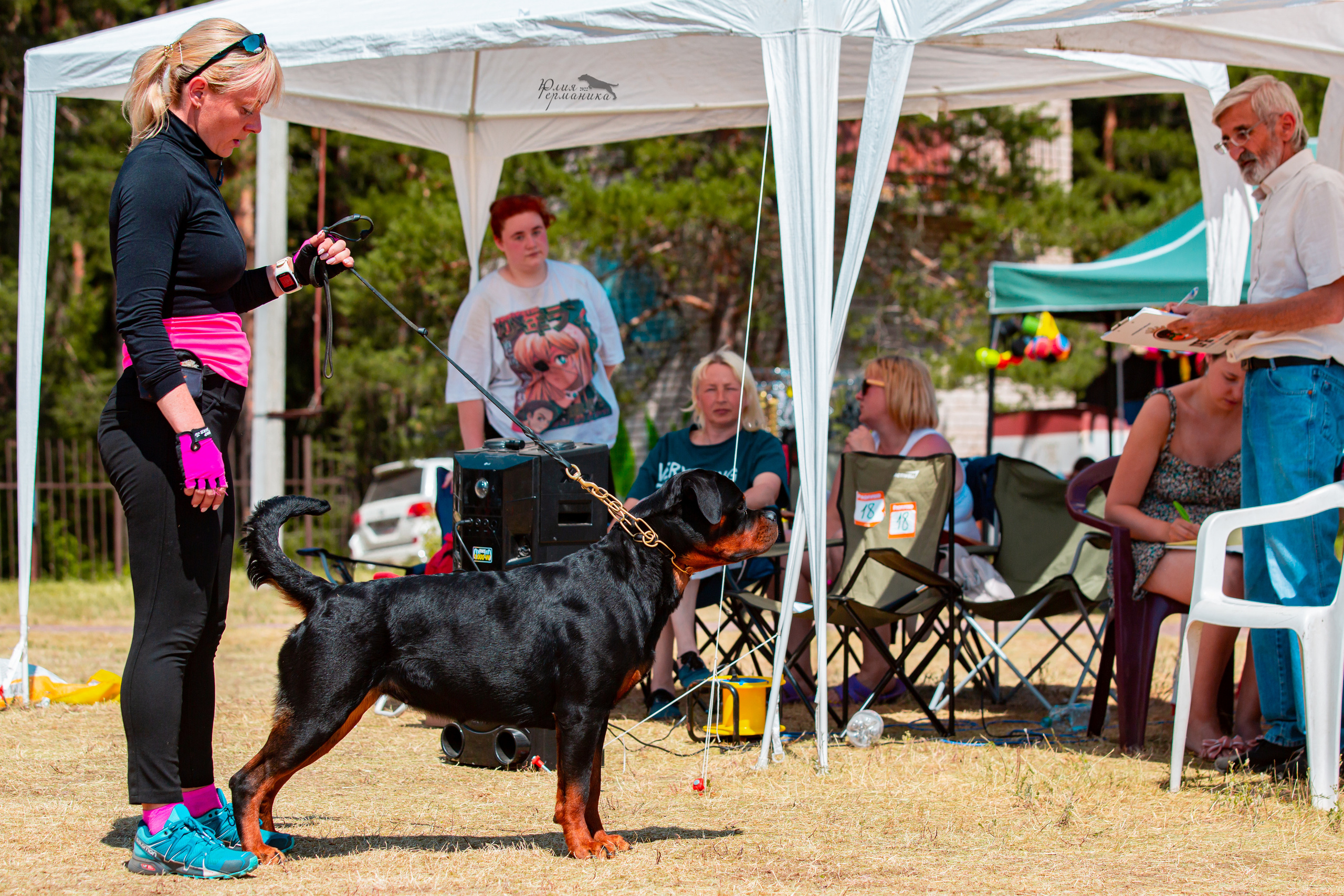 Тверь моно ротвейлеров 2-3.07.2022. Фотограф-анималист Юлия Германика