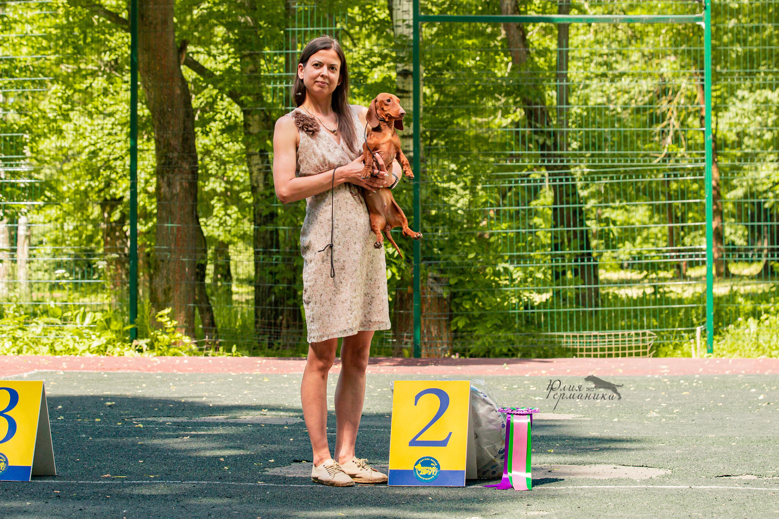 Сергиев Посад 2хСАС 25.06.2022. Фотограф-анималист Юлия Германика