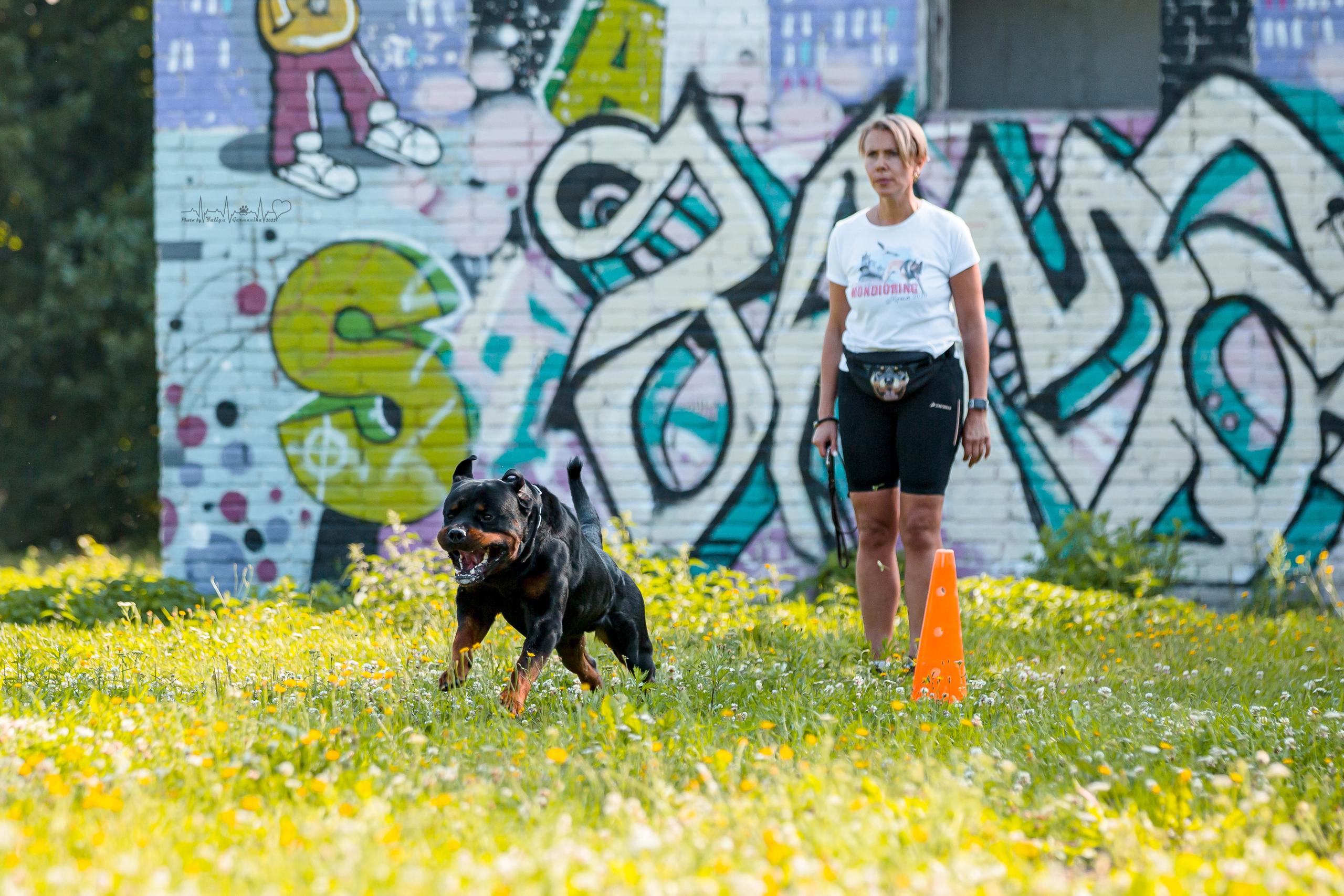 Санкт-Петербург моно ротвейлеров 23.07.2022. Фотограф-анималист Юлия Германика