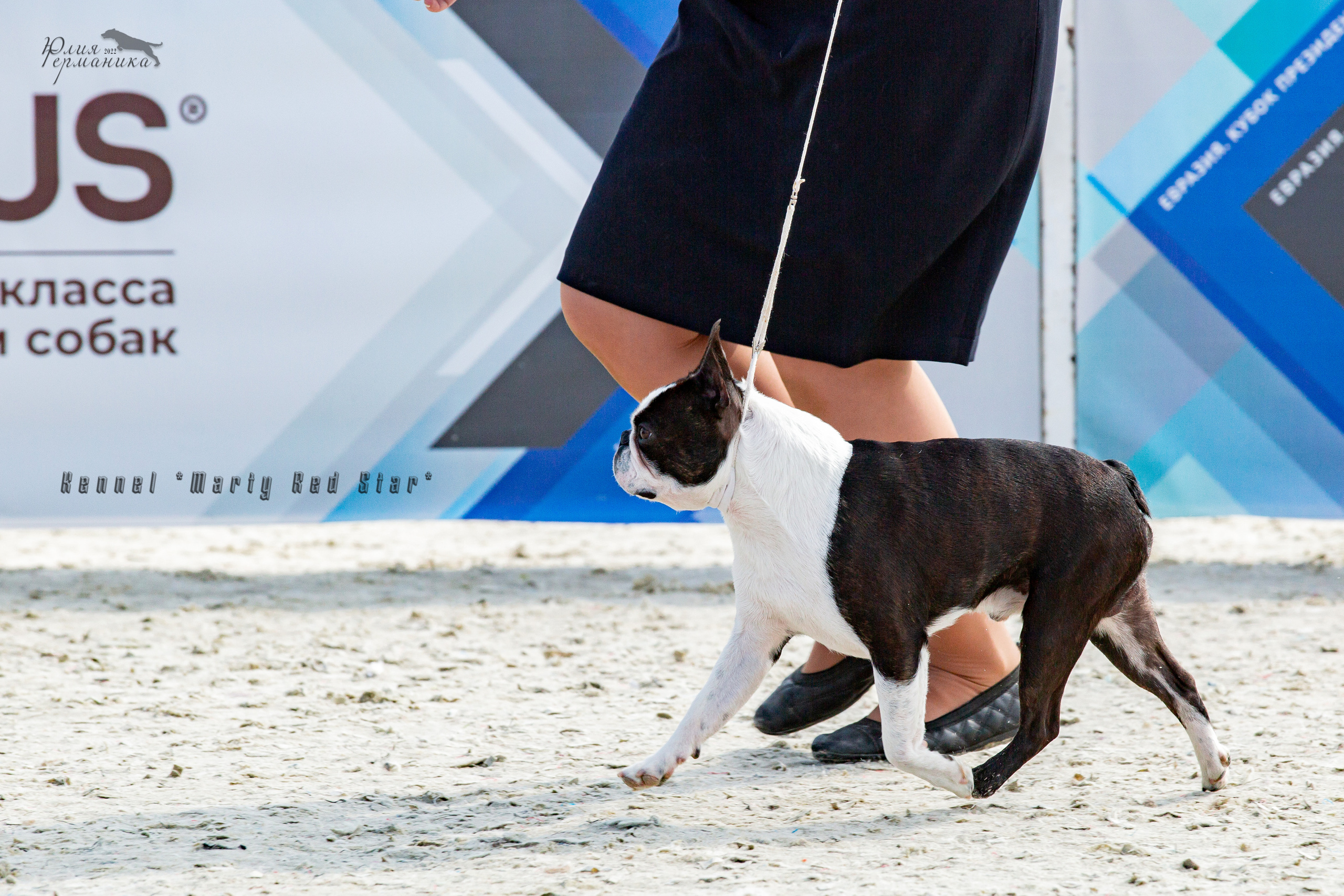 Евразия 21-22 мая 2022. Фотограф-анималист Юлия Германика