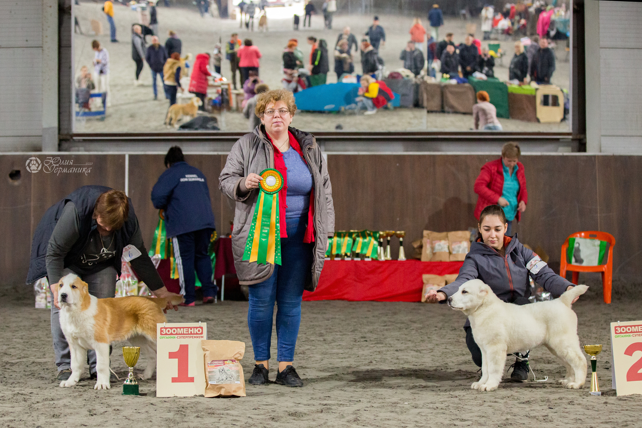 Националка САО+КЧК 24 апреля 2022. Фотограф-анималист Юлия Германика