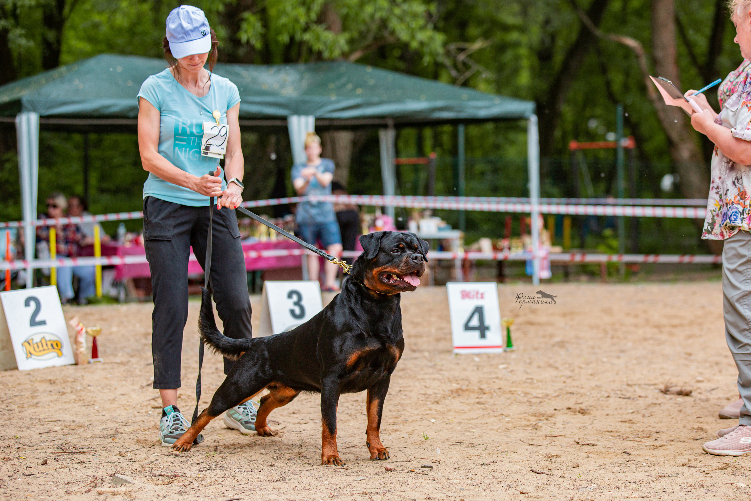 Смоленск 12.06,   Ховрино 13.06,    Питер 18.06 2022. Фотограф-анималист Юлия Германика