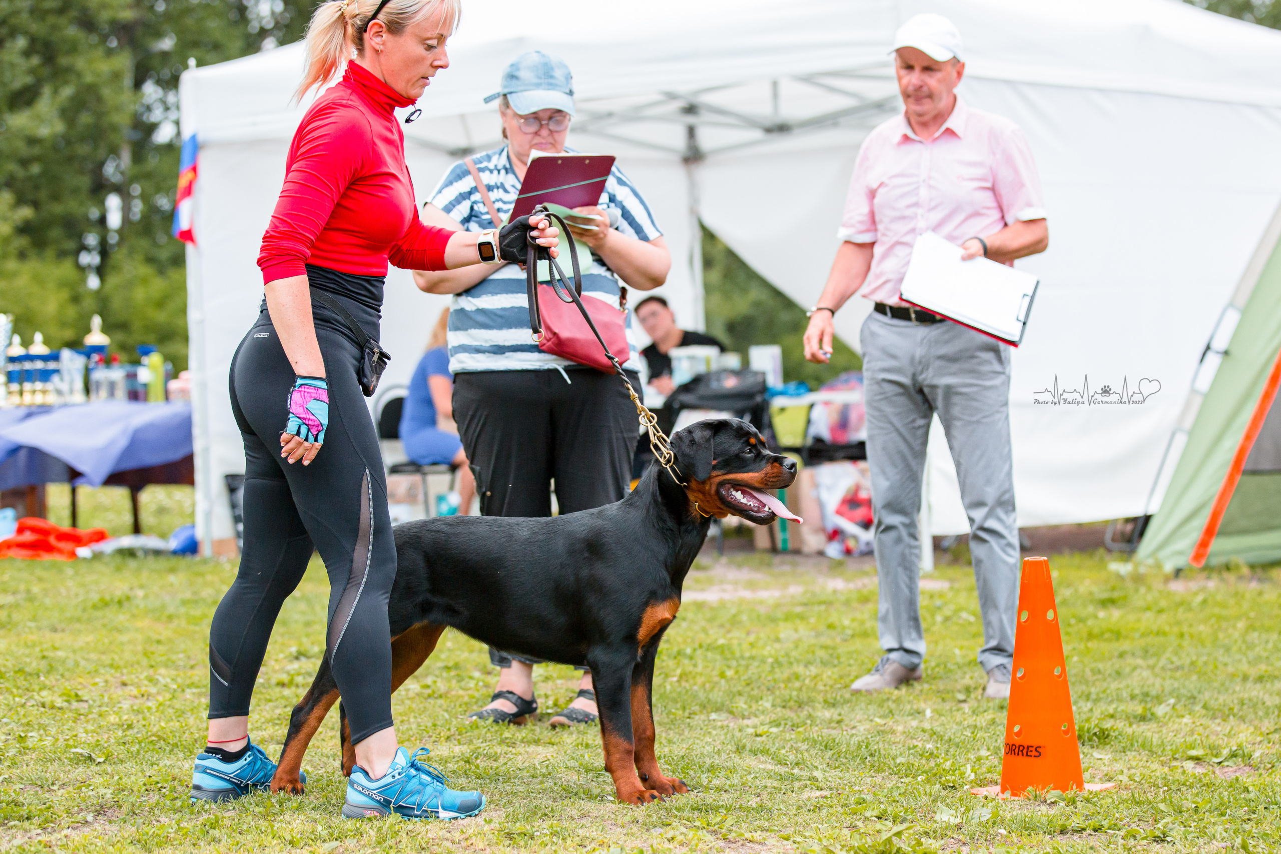 Санкт-Петербург моно ротвейлеров 23.07.2022. Фотограф-анималист Юлия Германика