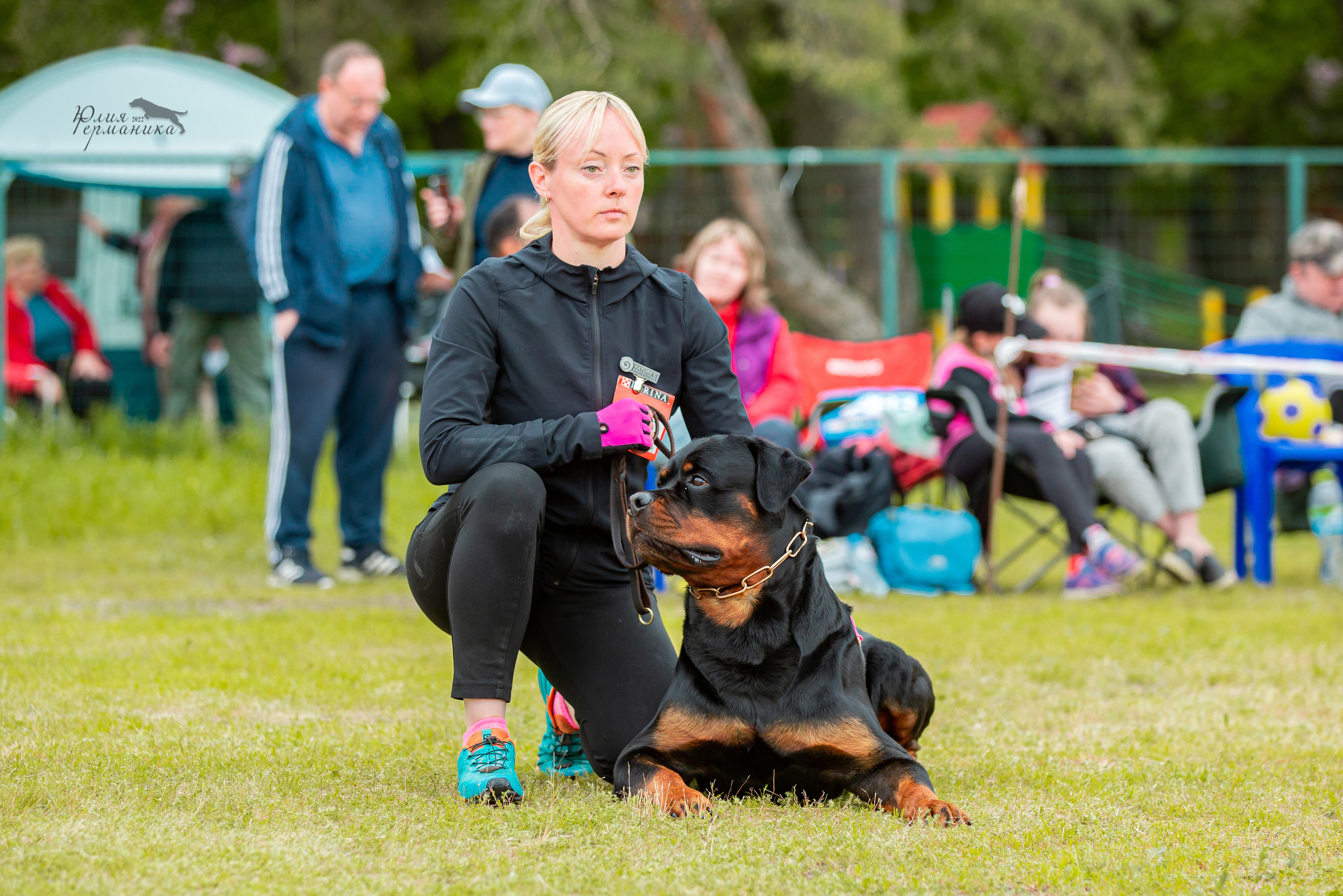 Воронеж моно ротвейлеров 28-29 мая 2022. Фотограф-анималист Юлия Германика
