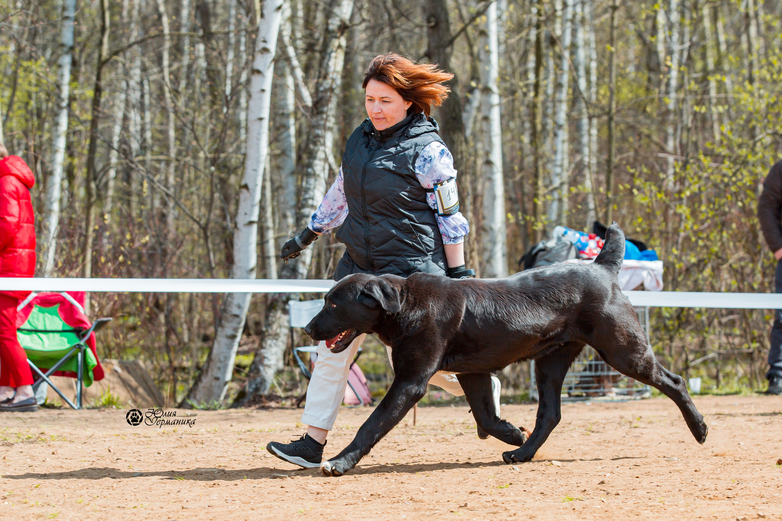 Сокольники 1 мая 2022. Фотограф-анималист Юлия Германика