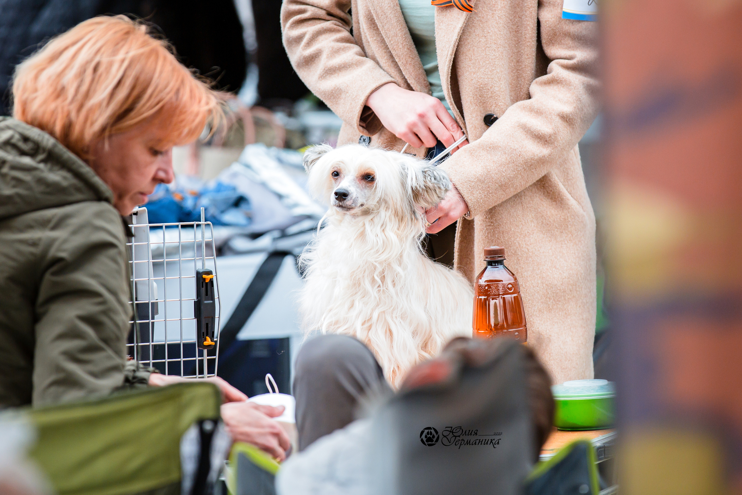 Александров 2хСАС 8 мая 2022. Фотограф-анималист Юлия Германика