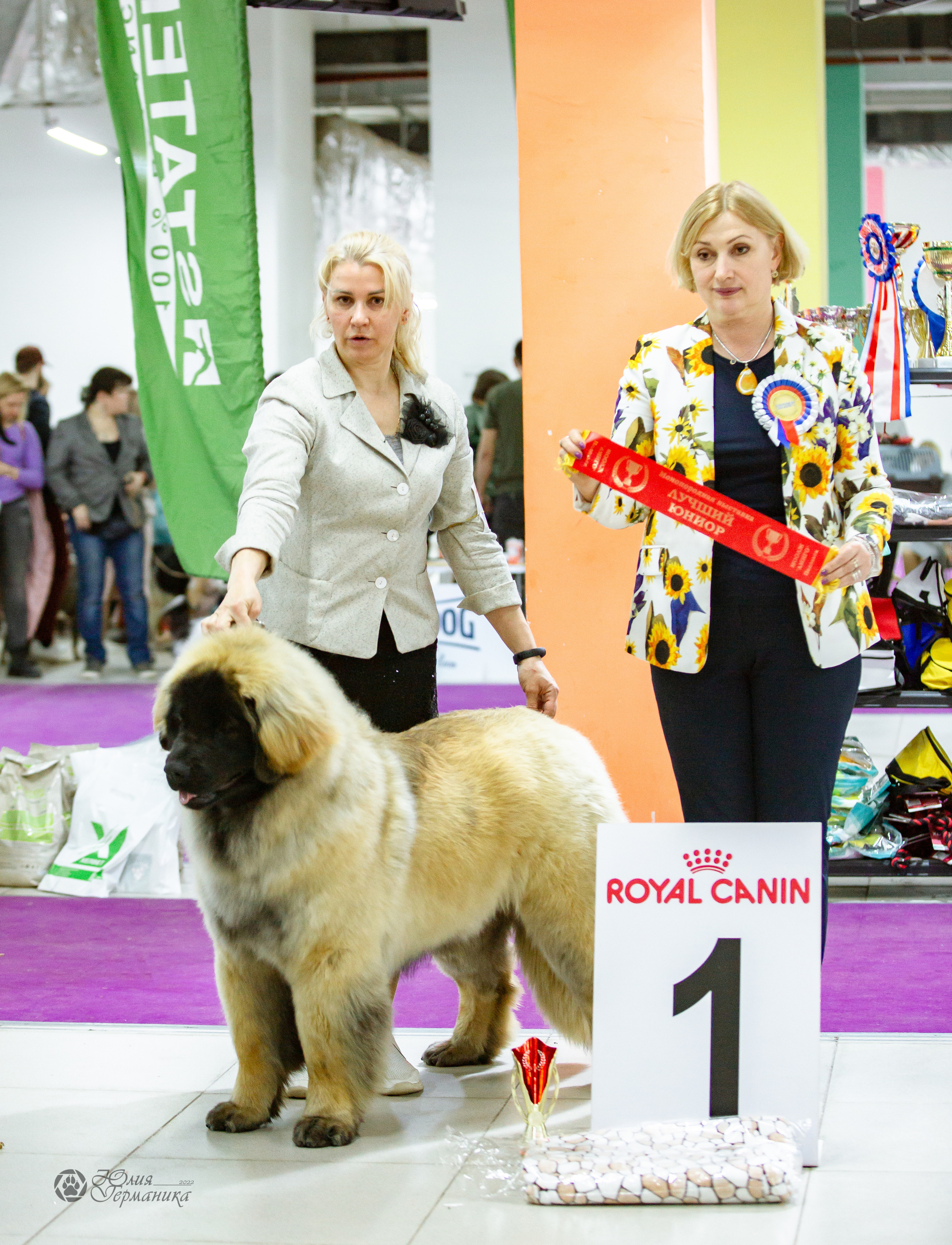 Чайна-Таун 16-17 апреля 2022. Фотограф-анималист Юлия Германика