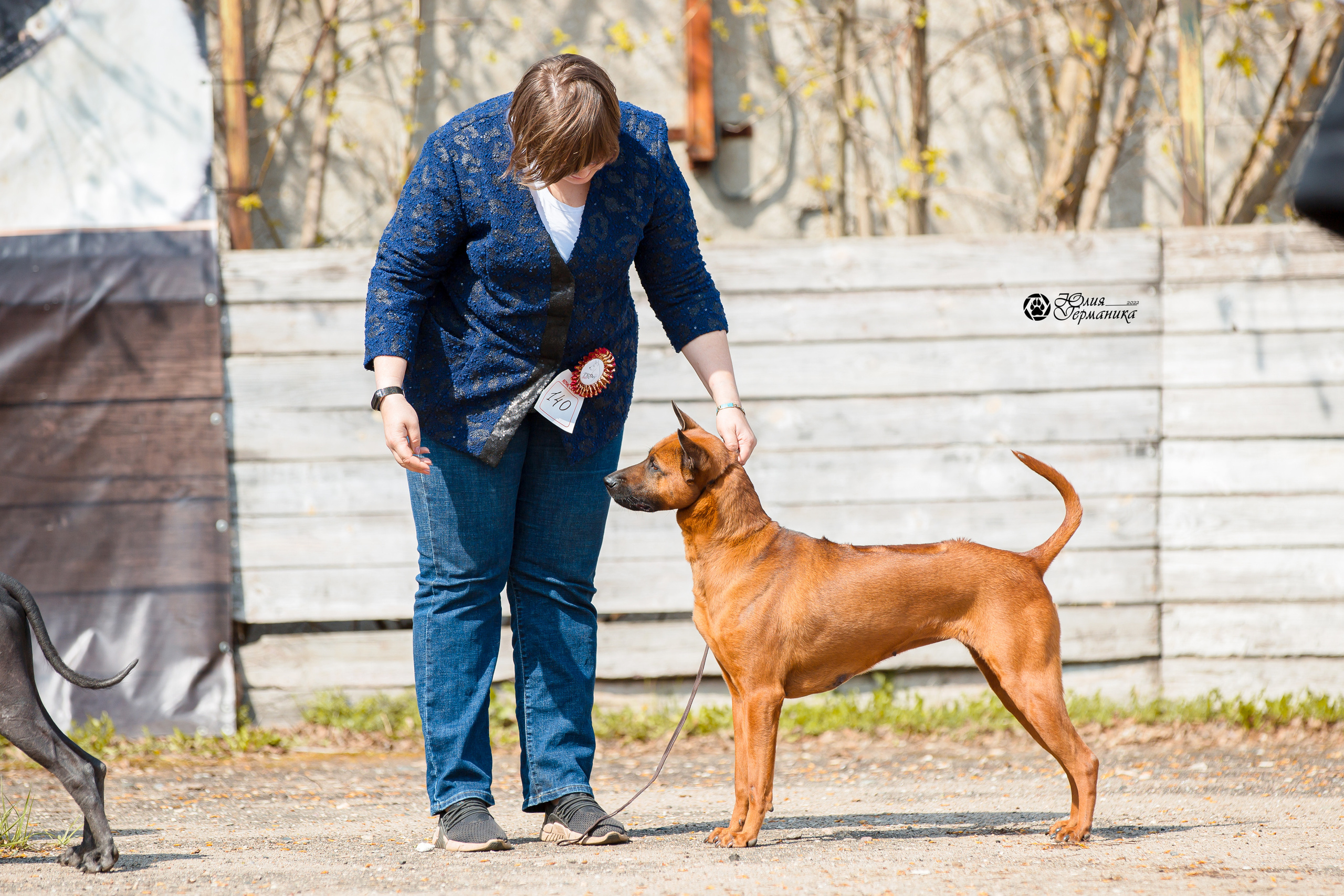 Александров 2хСАС 8 мая 2022. Фотограф-анималист Юлия Германика