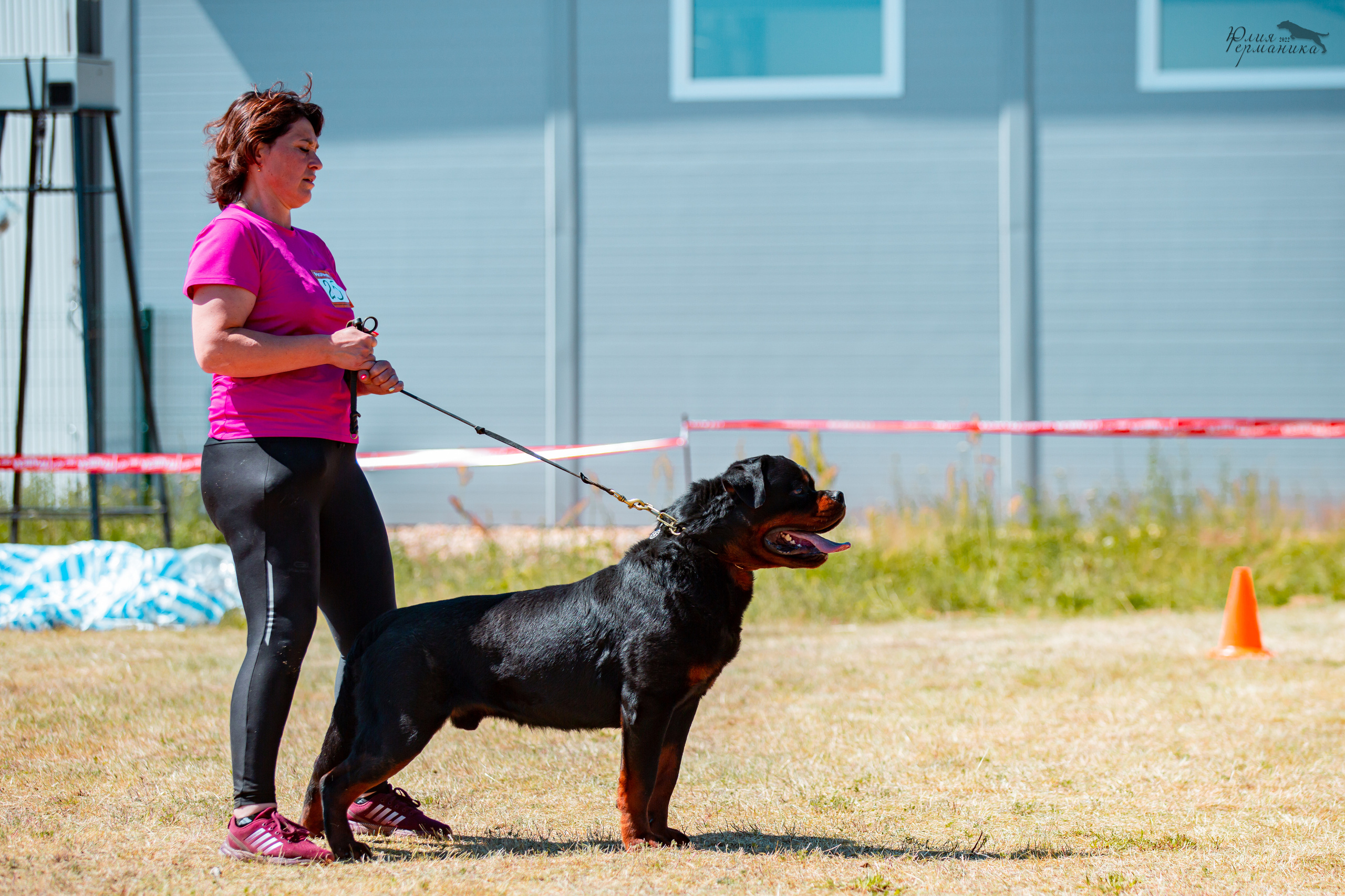 Тверь моно ротвейлеров 2-3.07.2022. Фотограф-анималист Юлия Германика
