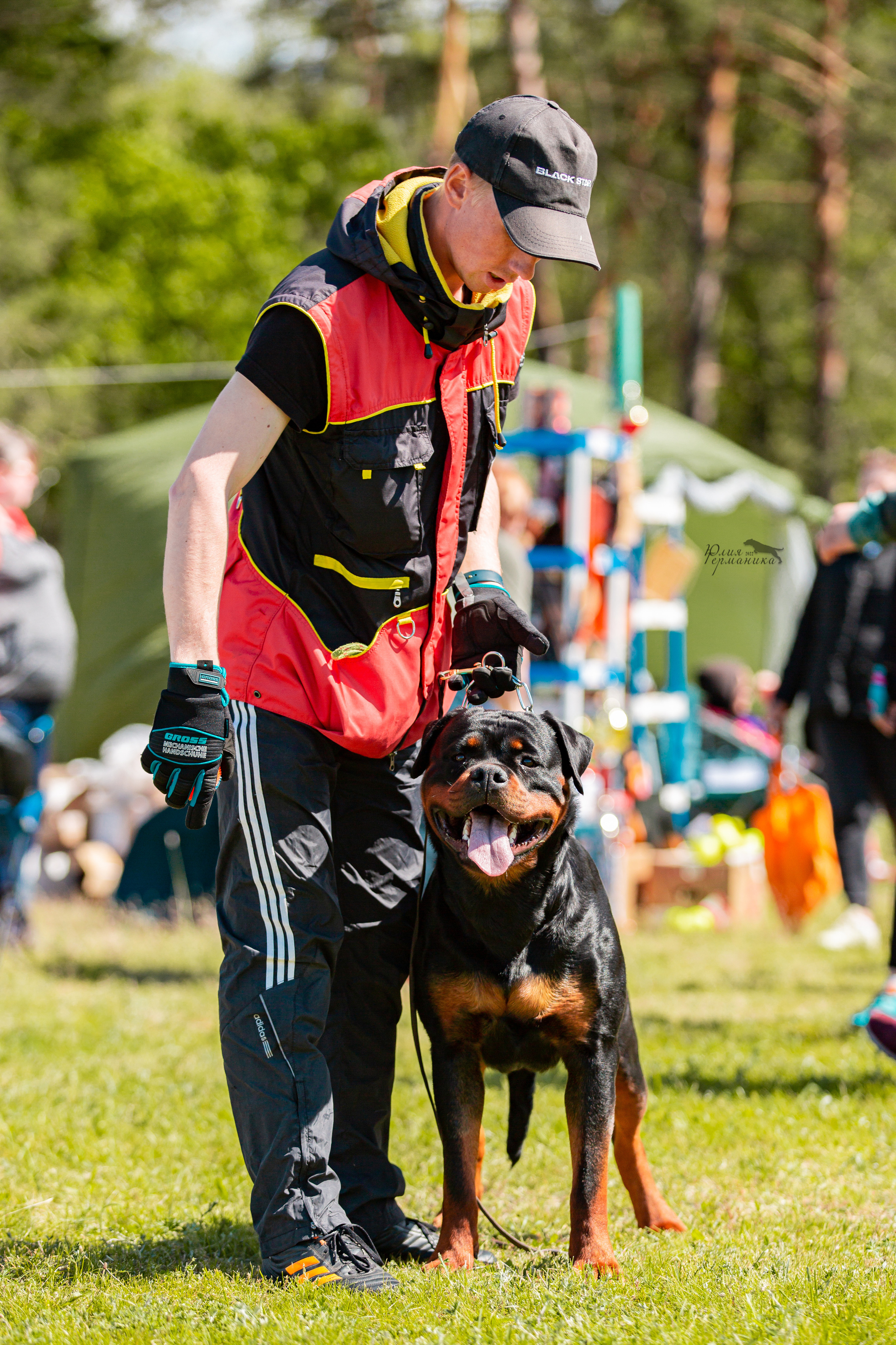 Воронеж моно ротвейлеров 28-29 мая 2022. Фотограф-анималист Юлия Германика