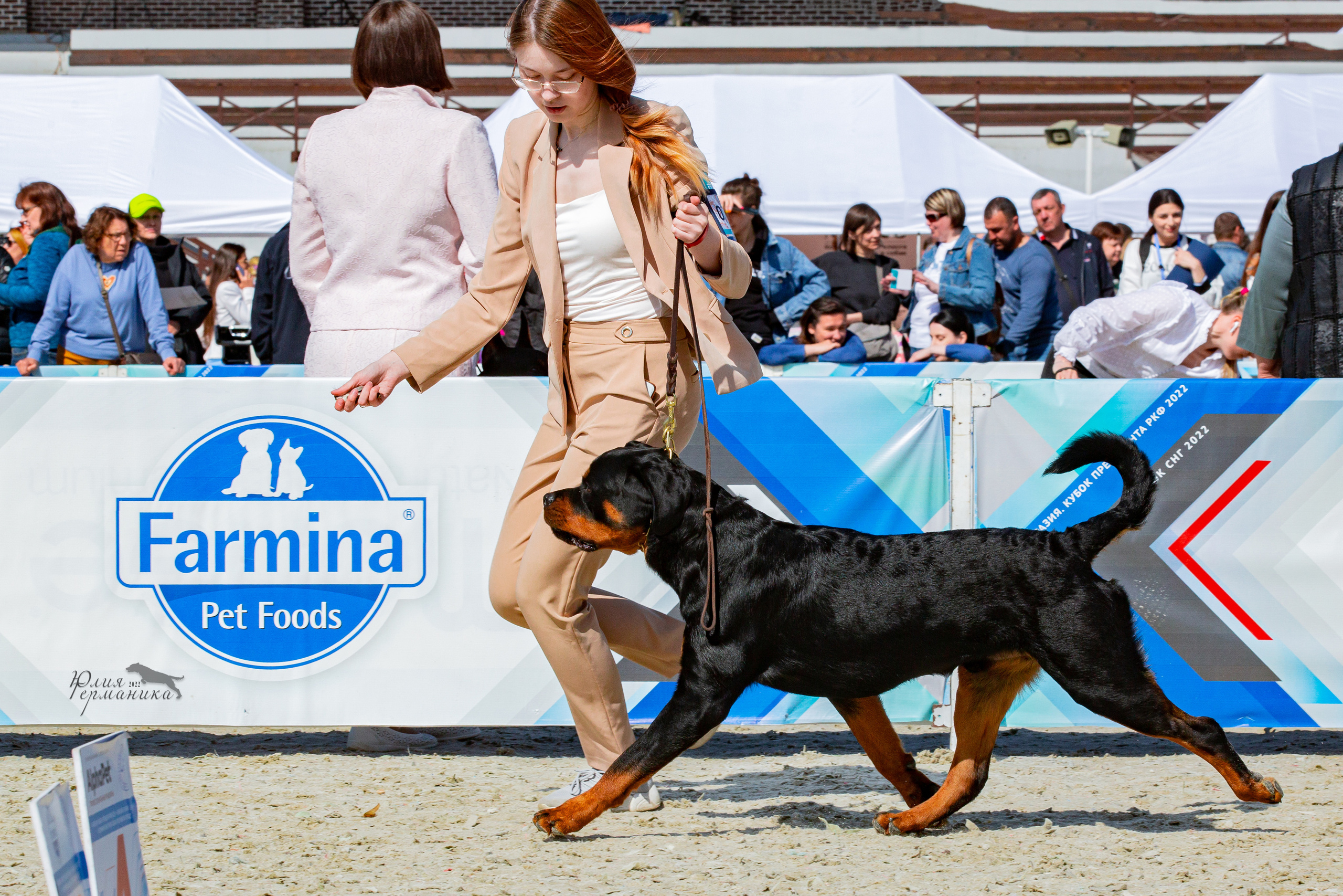 Евразия 21-22 мая 2022. Фотограф-анималист Юлия Германика