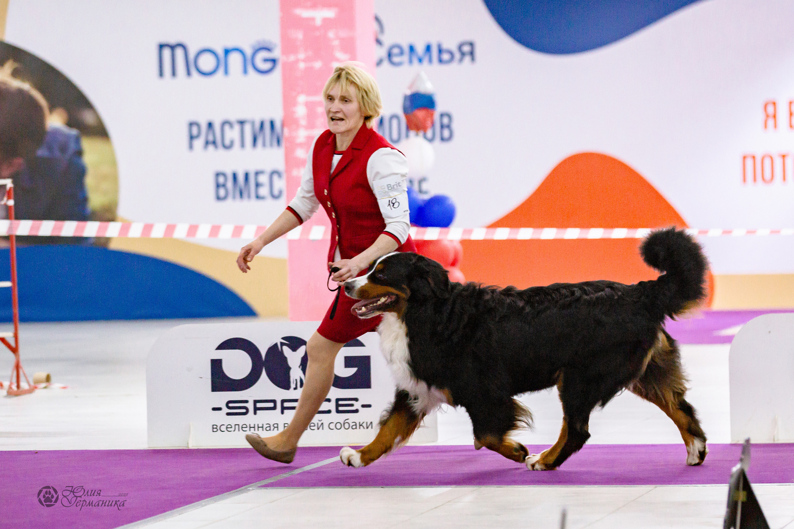 Чайна-Таун 16-17 апреля 2022. Фотограф-анималист Юлия Германика