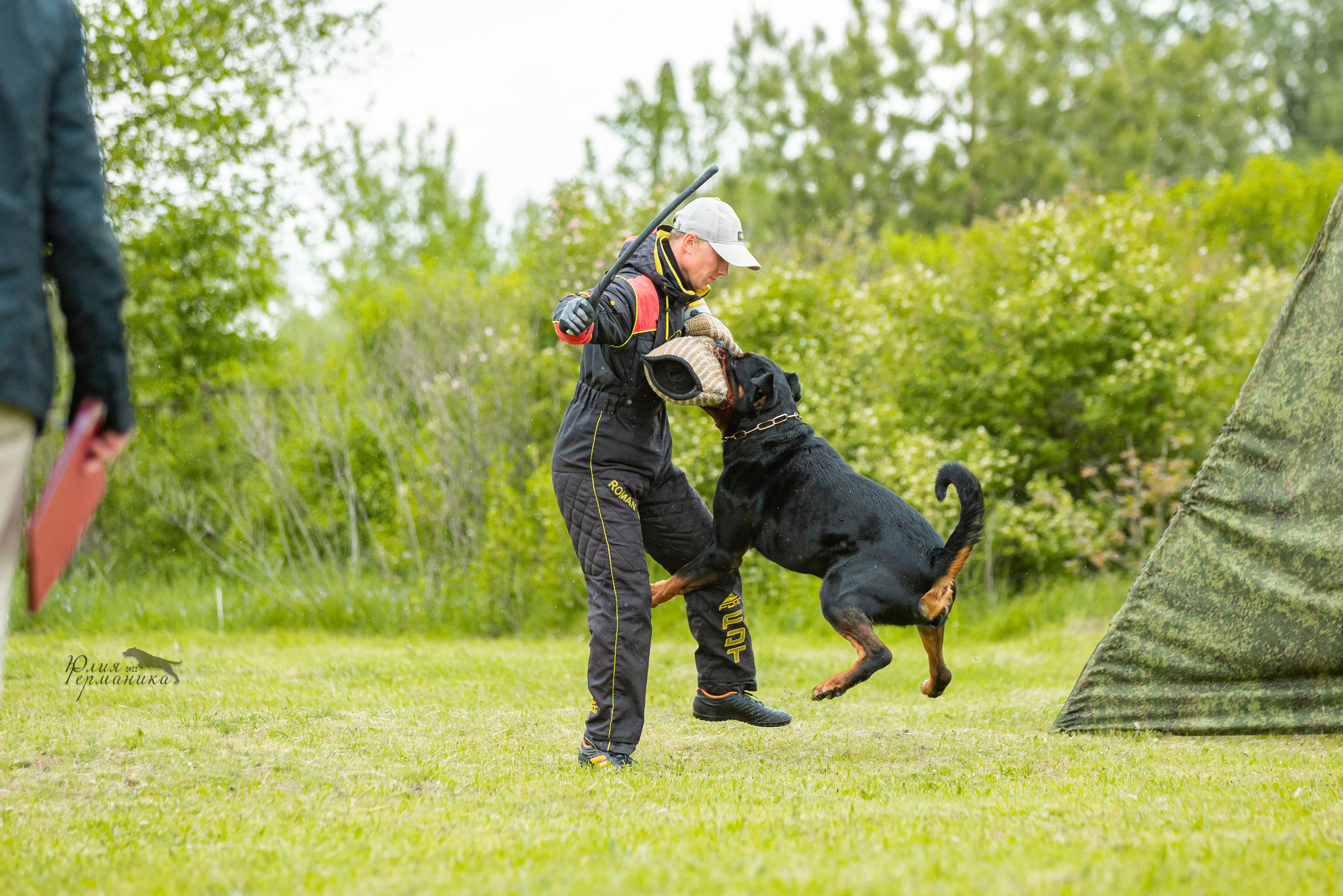 Воронеж моно ротвейлеров 28-29 мая 2022. Фотограф-анималист Юлия Германика