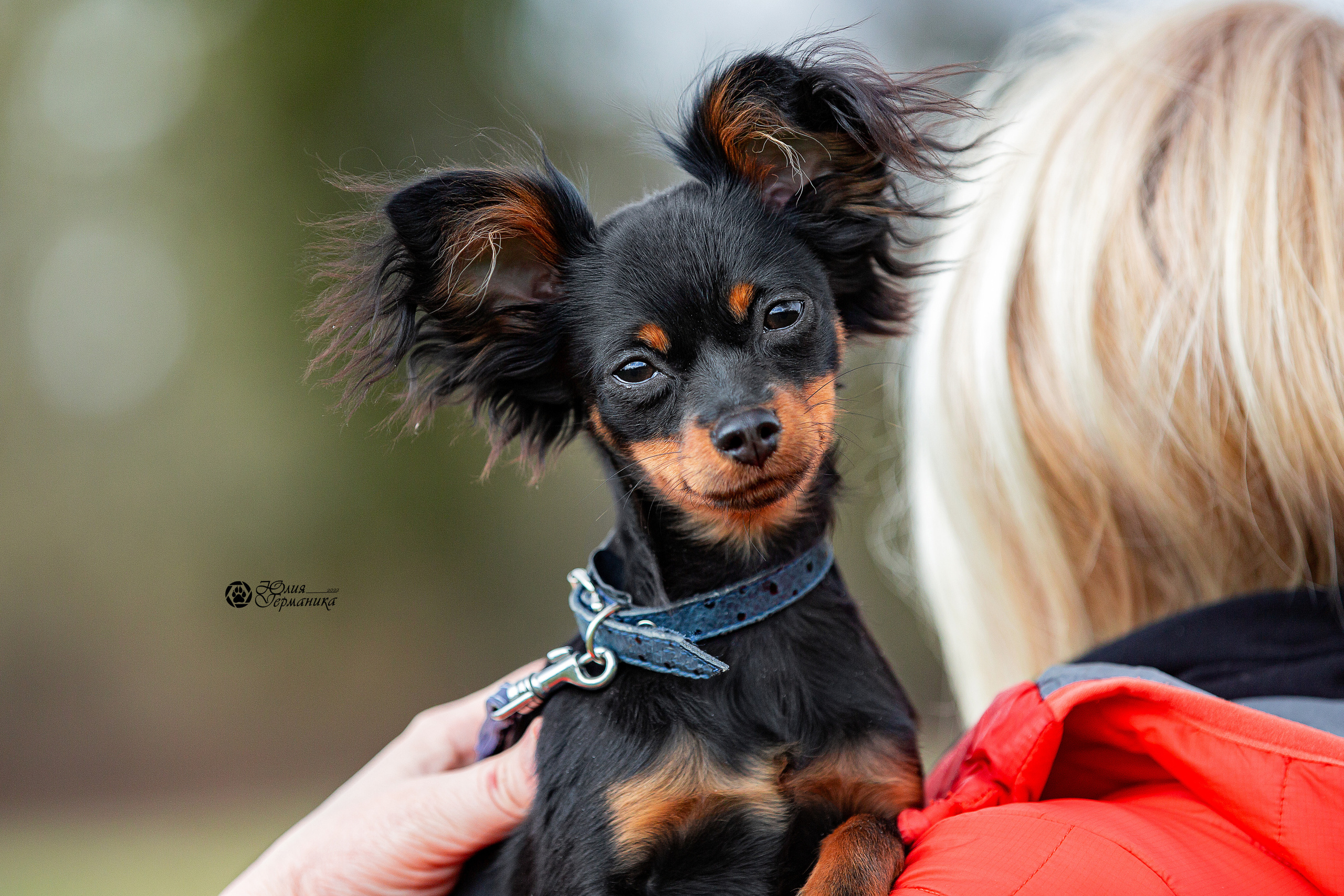 Свободная съемка. Фотограф-анималист Юлия Германика