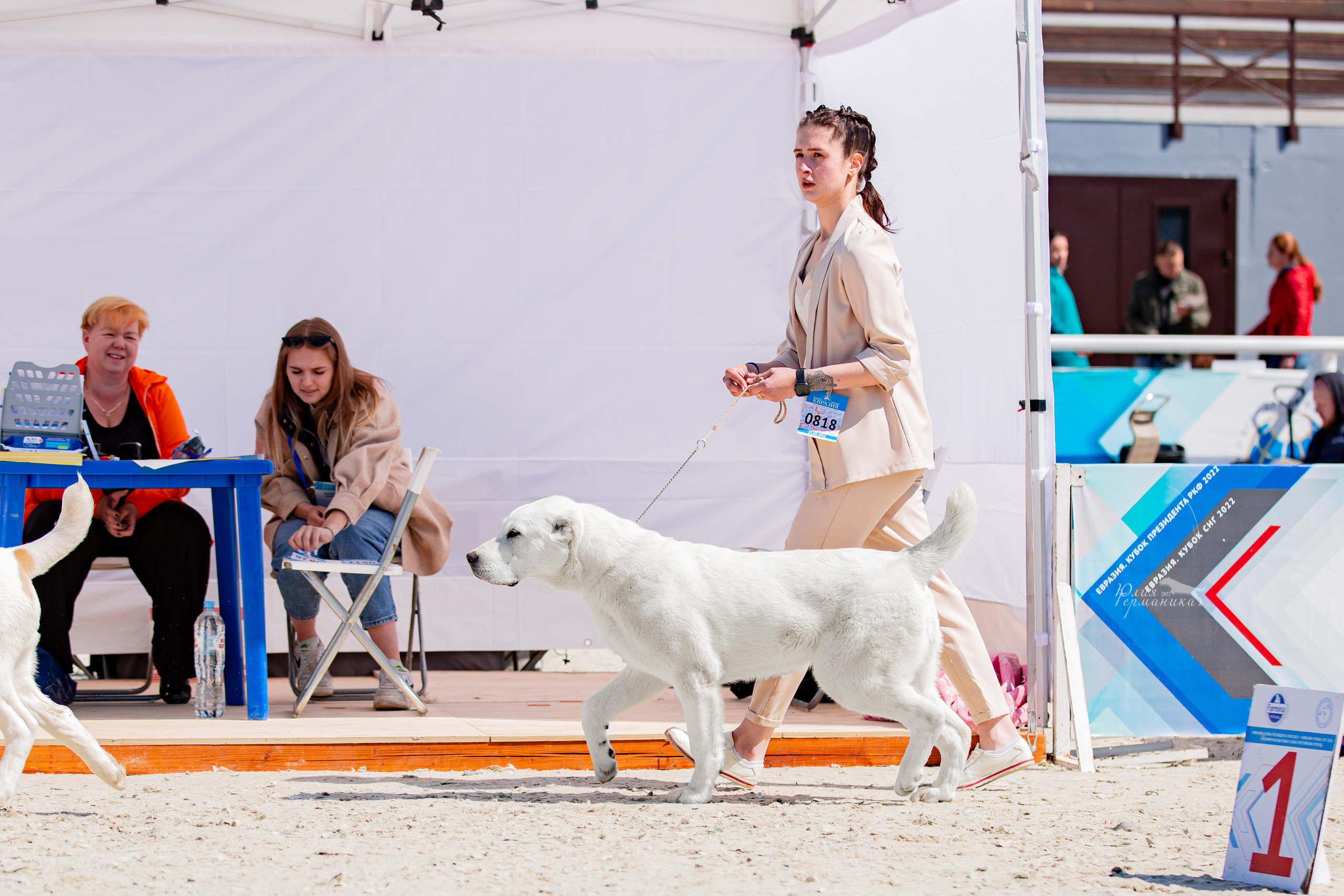 Евразия 21-22 мая 2022. Фотограф-анималист Юлия Германика