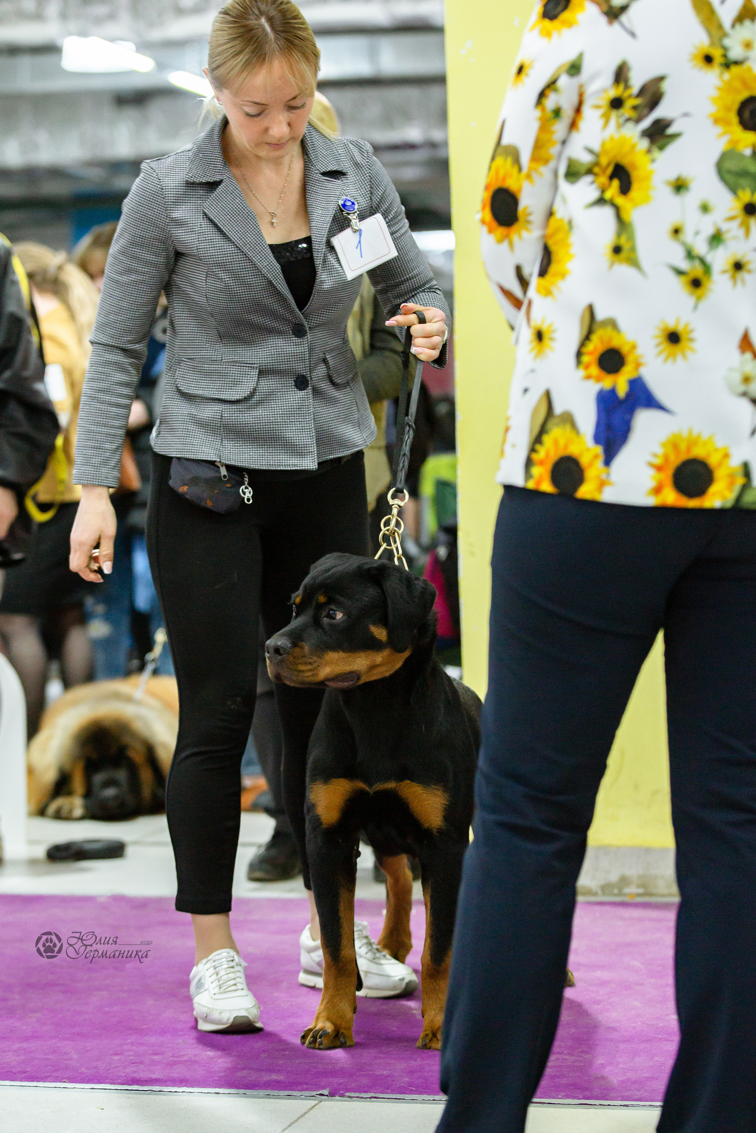 Чайна-Таун 16-17 апреля 2022. Фотограф-анималист Юлия Германика