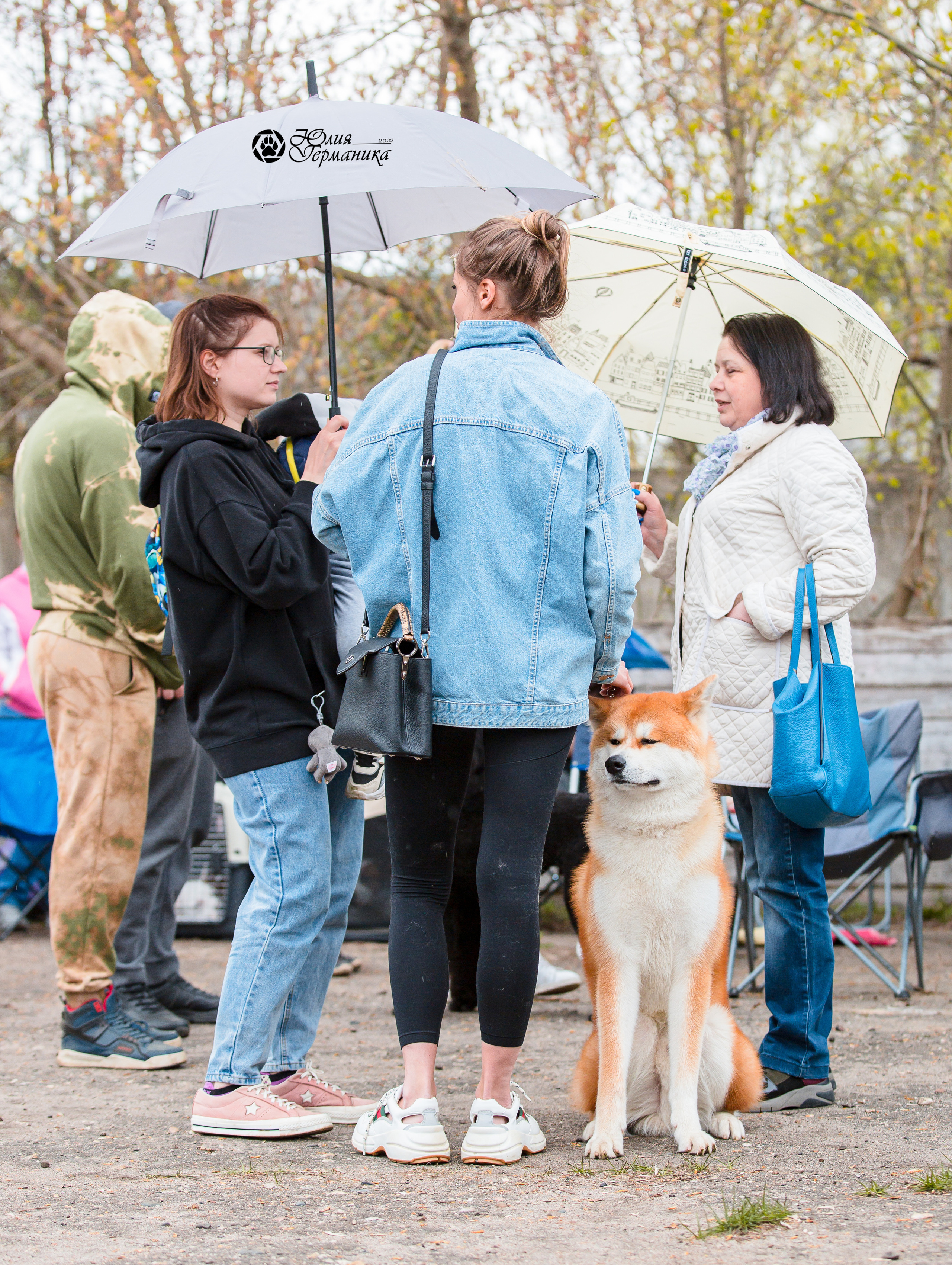 Александров 2хСАС 8 мая 2022. Фотограф-анималист Юлия Германика