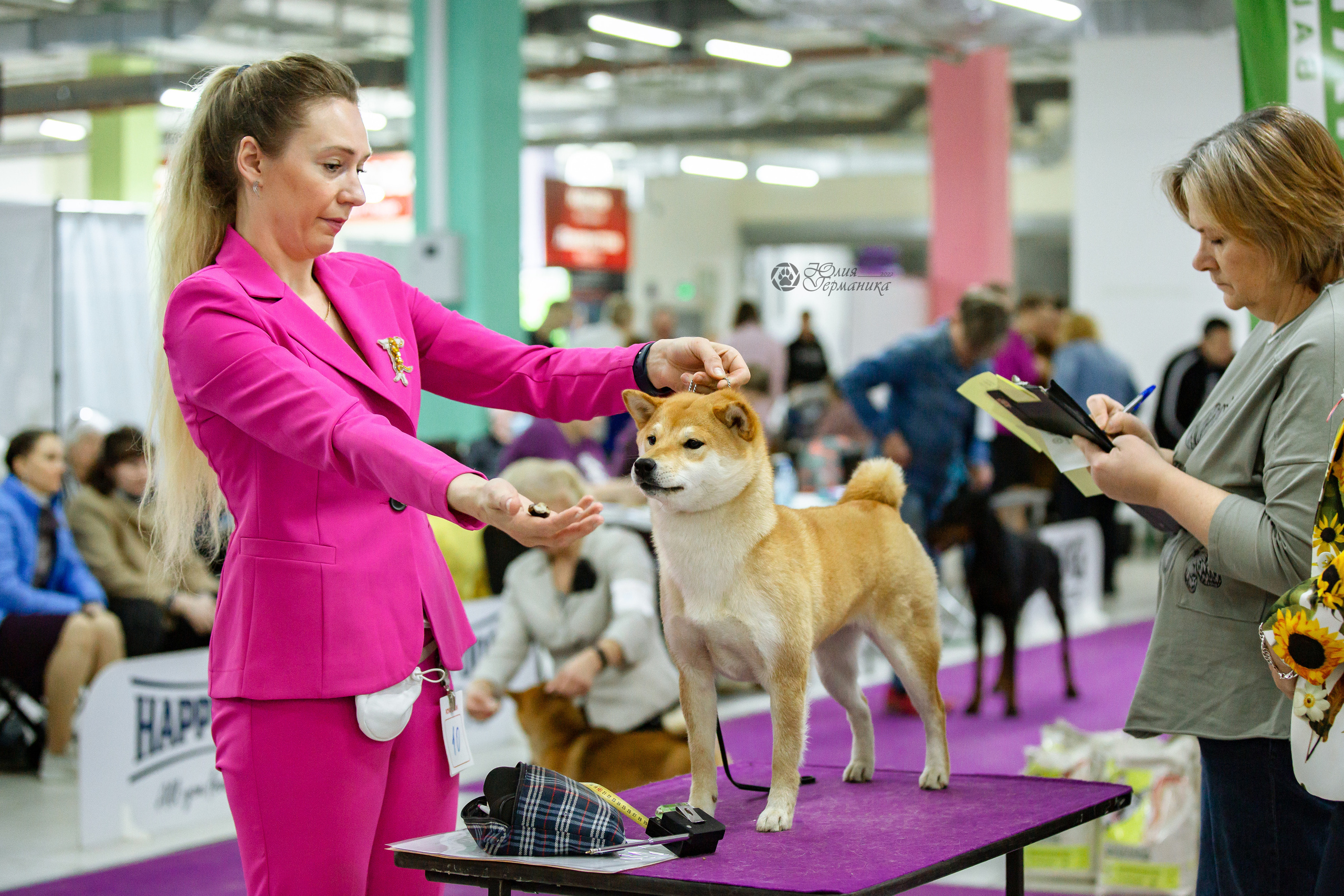 Чайна-Таун 16-17 апреля 2022. Фотограф-анималист Юлия Германика