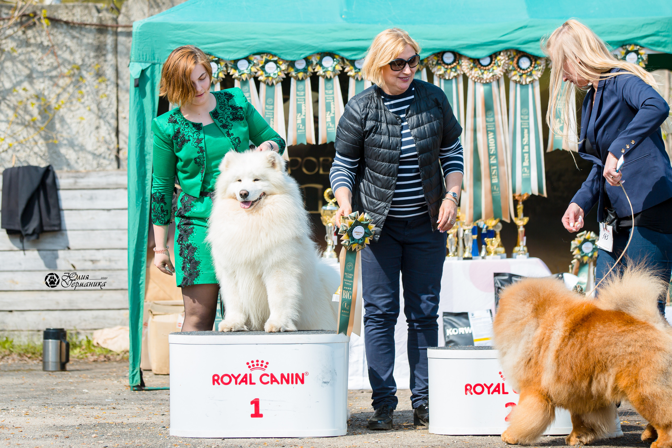 Александров 2хСАС 8 мая 2022. Фотограф-анималист Юлия Германика