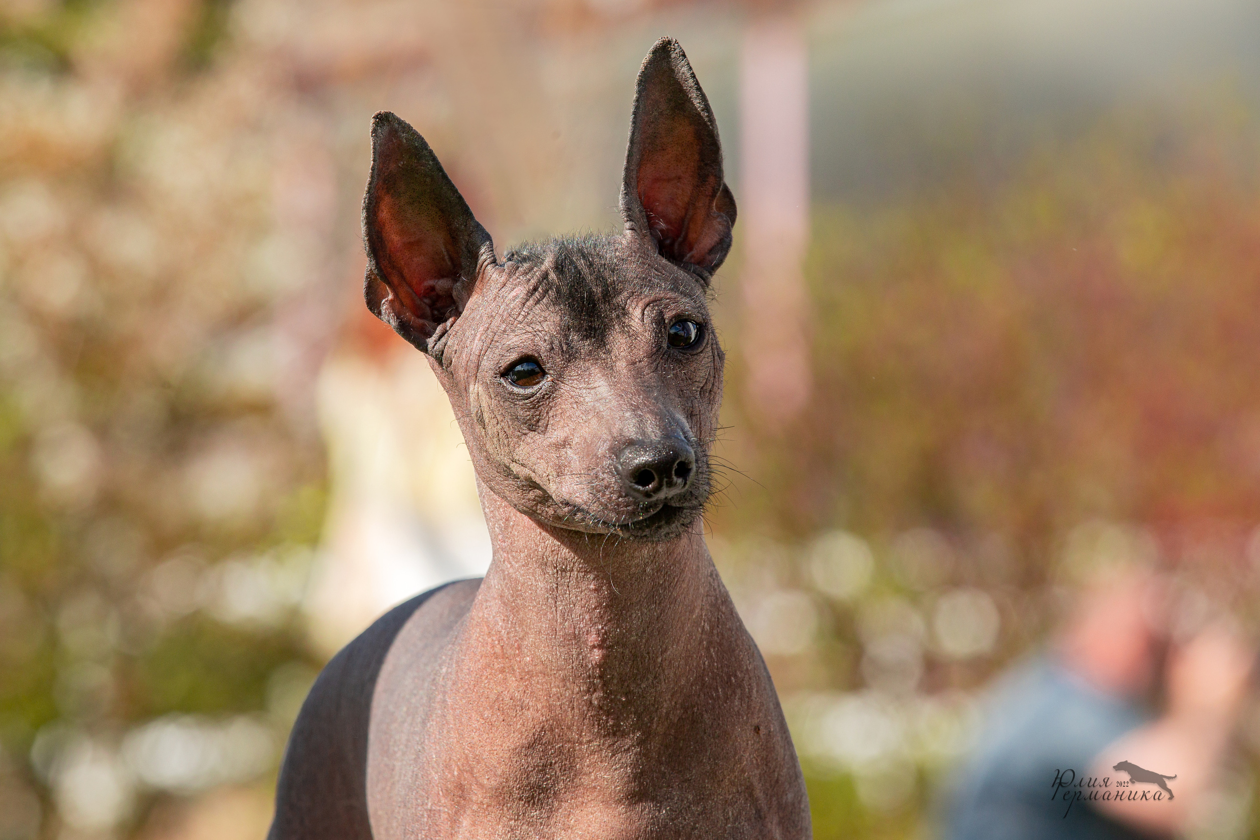 Евразия 21-22 мая 2022. Фотограф-анималист Юлия Германика