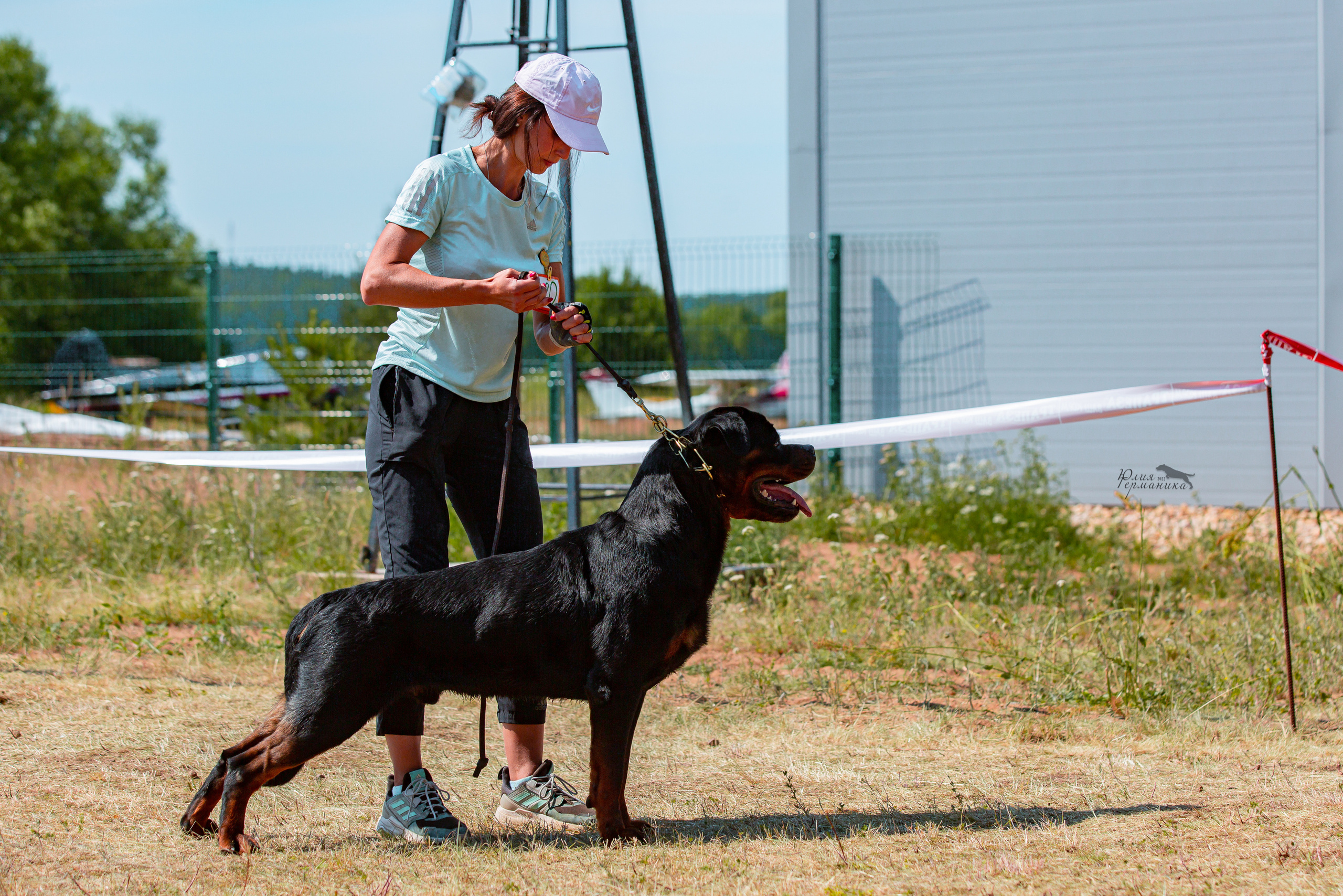 Тверь моно ротвейлеров 2-3.07.2022. Фотограф-анималист Юлия Германика