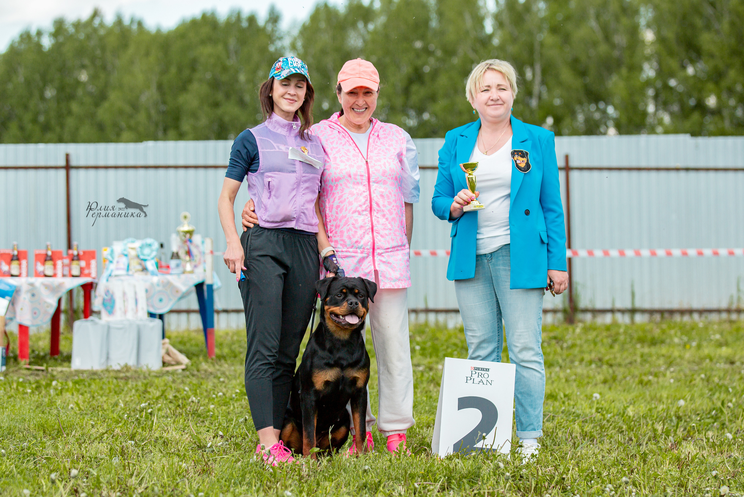 Нижний Новгород моно ротвейлеров 4 июня 2022. Фотограф-анималист Юлия Германика