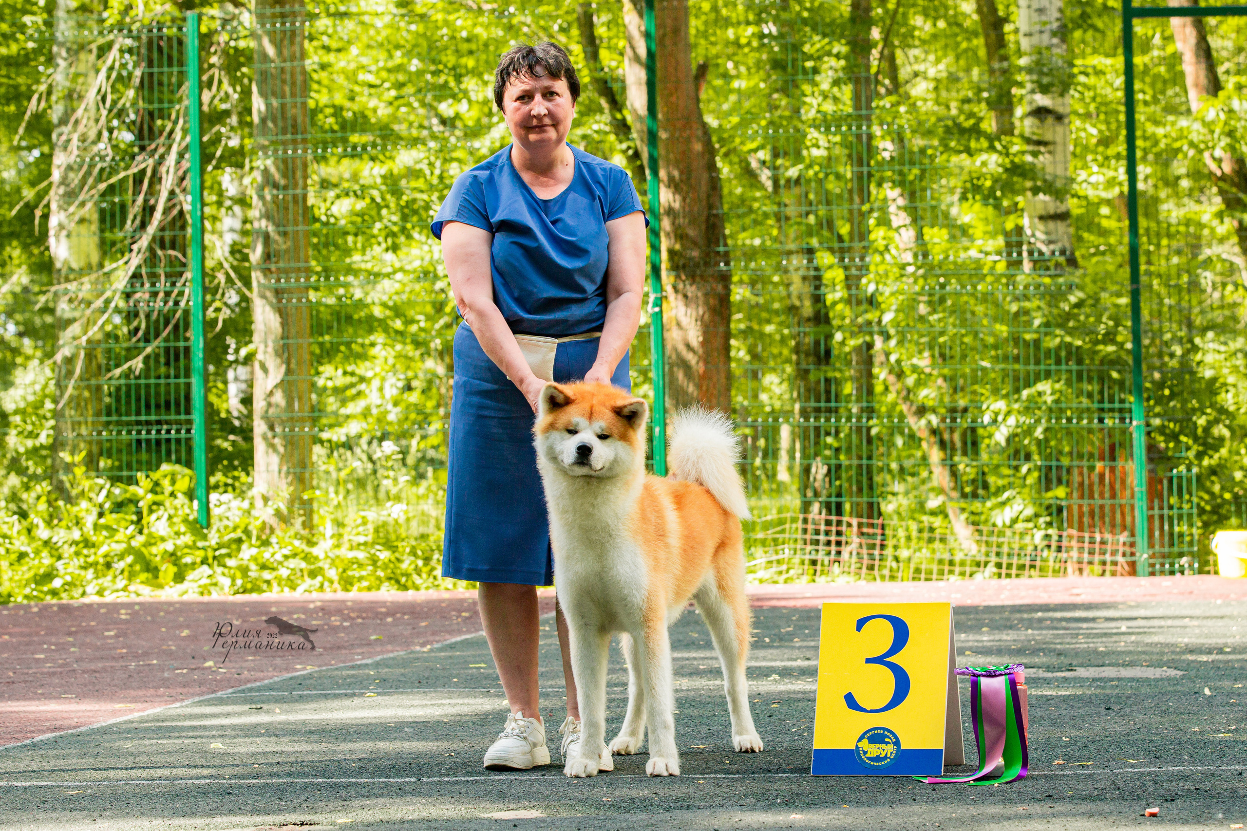 Сергиев Посад 2хСАС 25.06.2022. Фотограф-анималист Юлия Германика