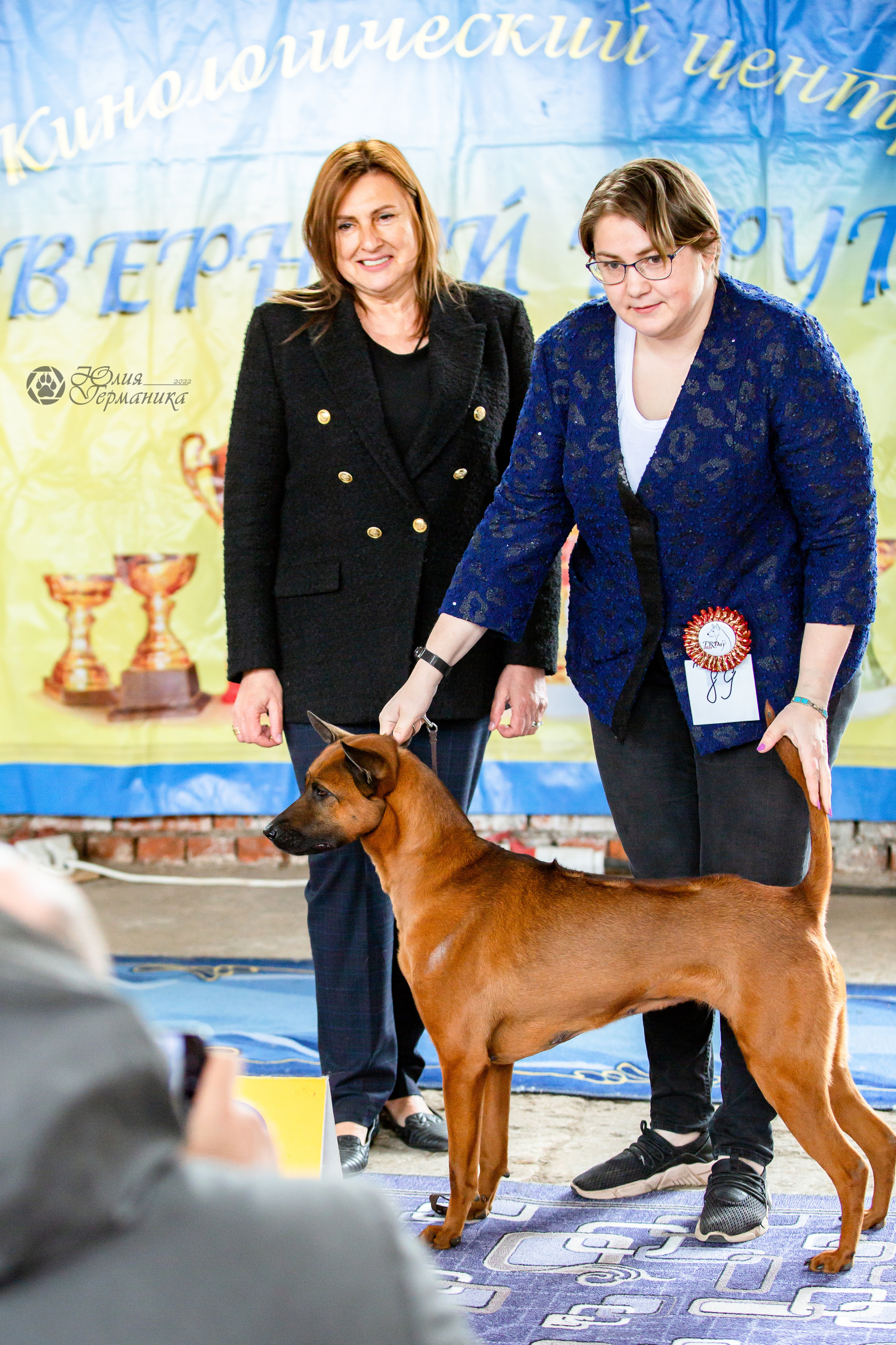 Сергиев Посад 23.04.2022. Фотограф-анималист Юлия Германика