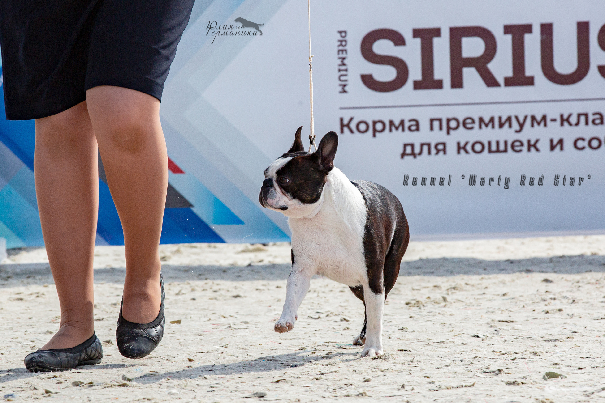 Евразия 21-22 мая 2022. Фотограф-анималист Юлия Германика