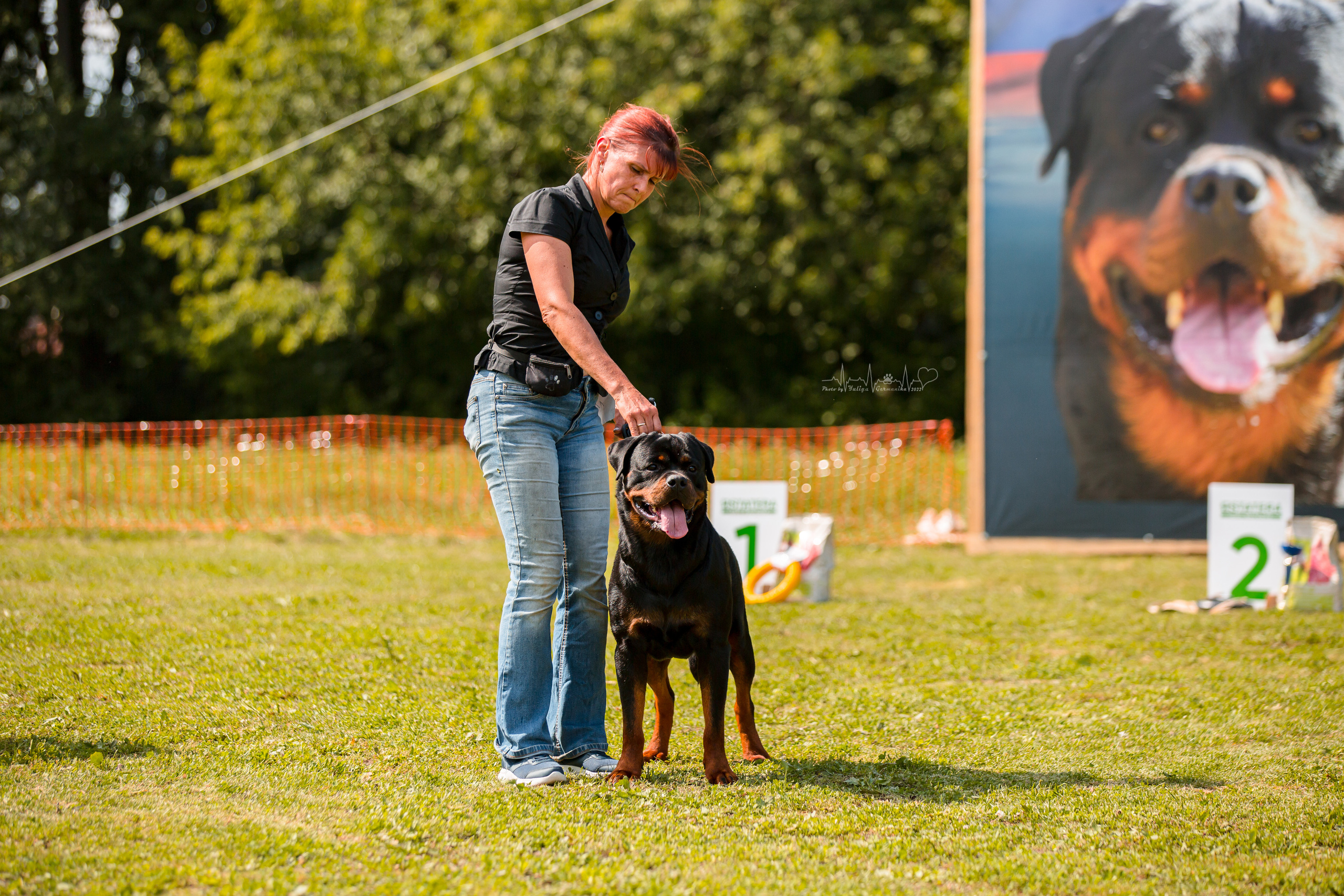 Санкт-Петербург моно ротвейлеров 23.07.2022. Фотограф-анималист Юлия Германика