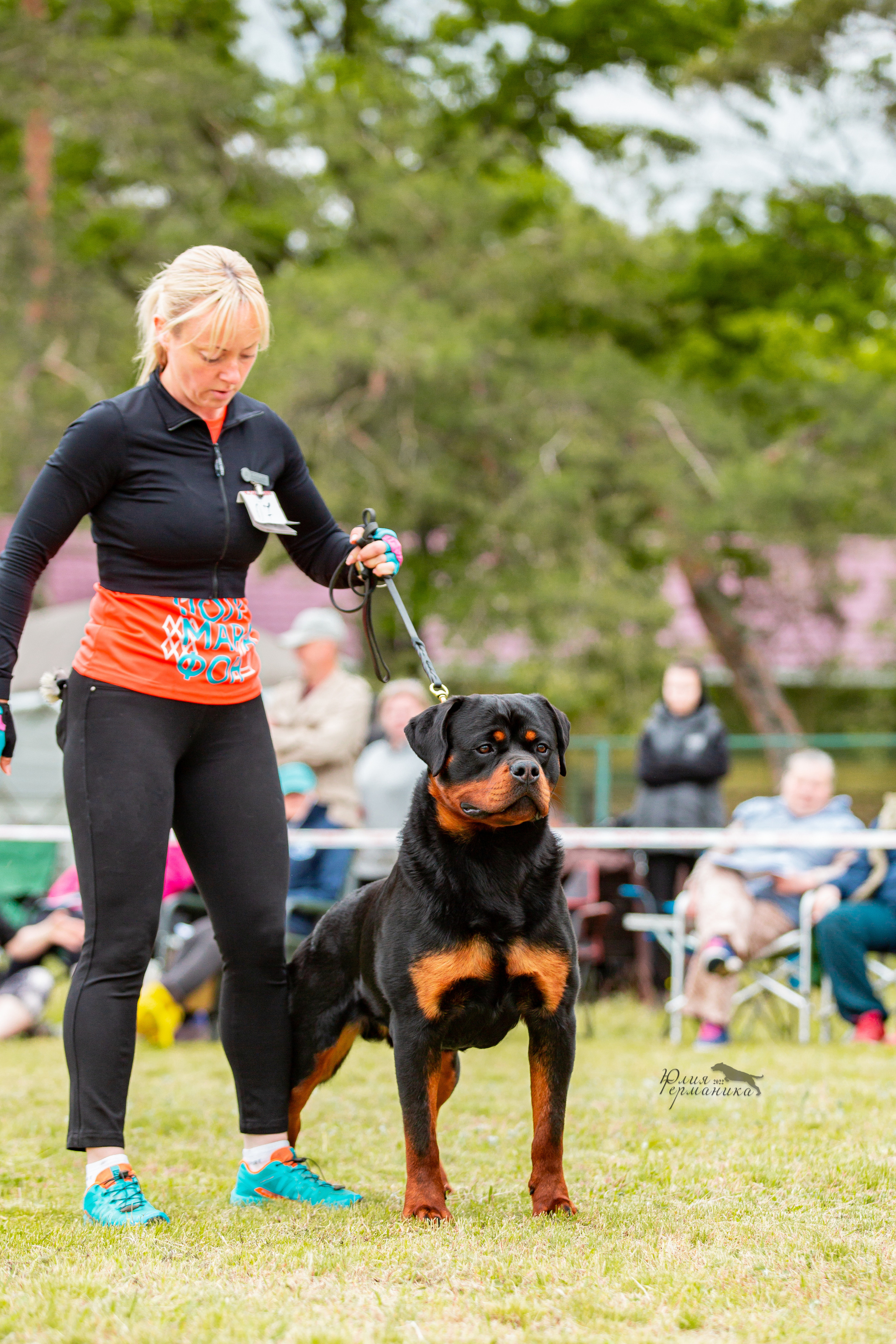 Воронеж моно ротвейлеров 28-29 мая 2022. Фотограф-анималист Юлия Германика