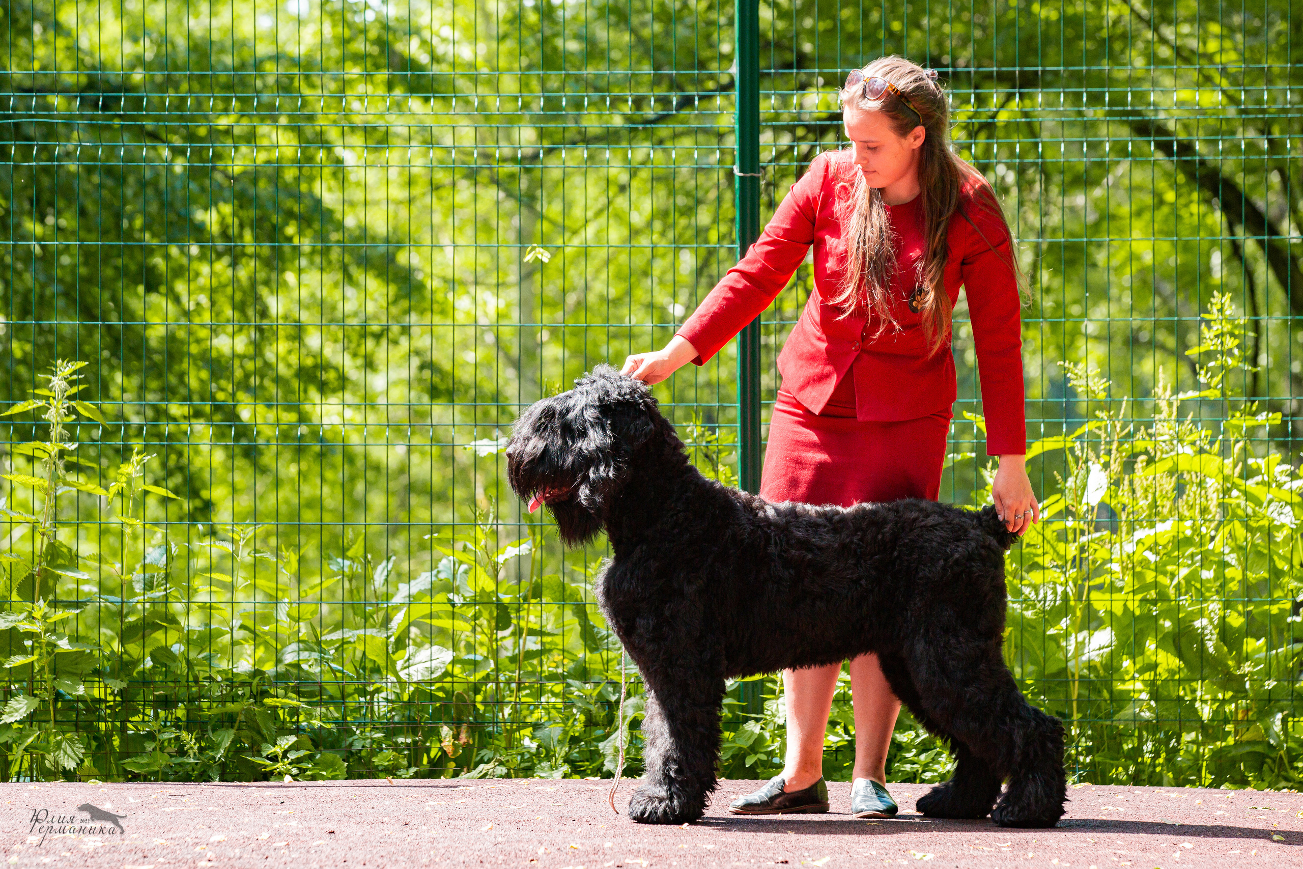 Сергиев Посад 2хСАС 25.06.2022. Фотограф-анималист Юлия Германика