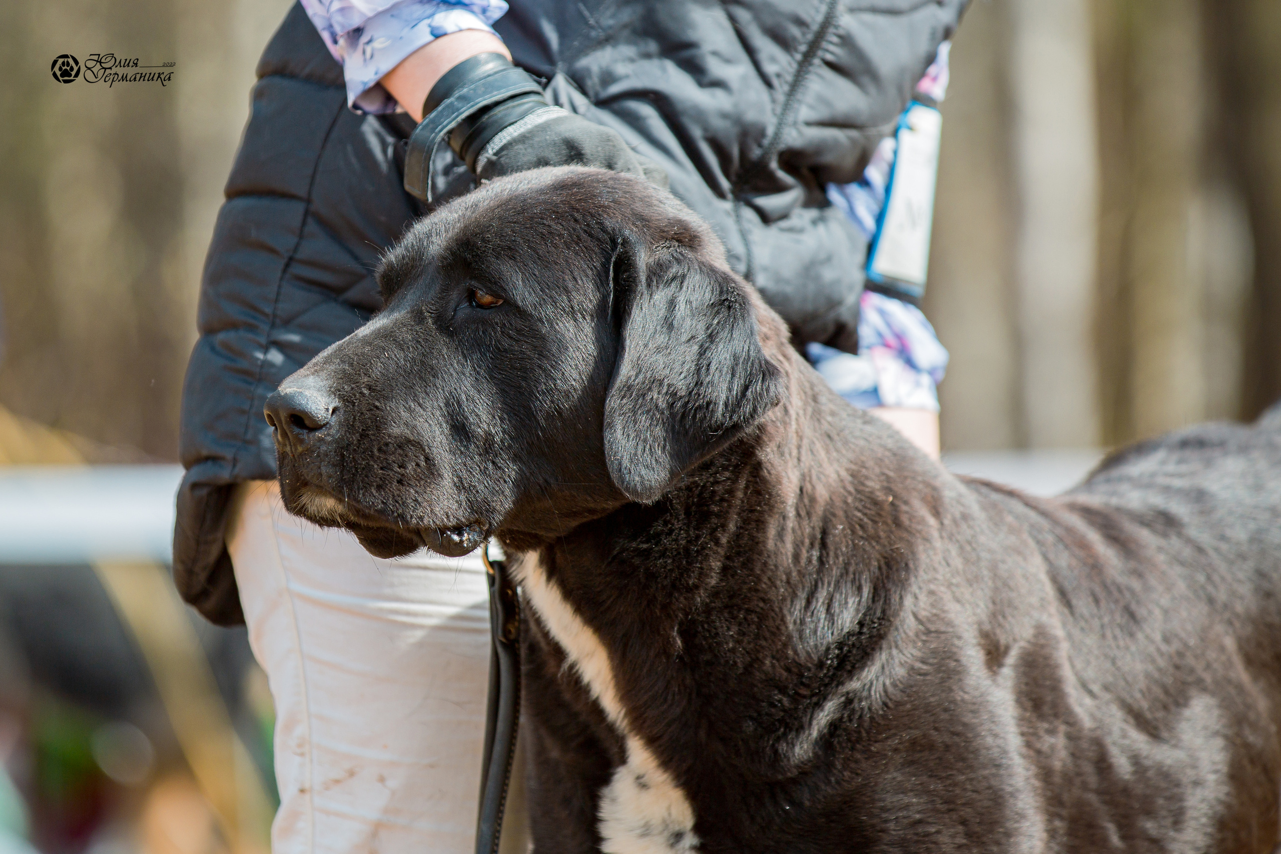 Сокольники 1 мая 2022. Фотограф-анималист Юлия Германика