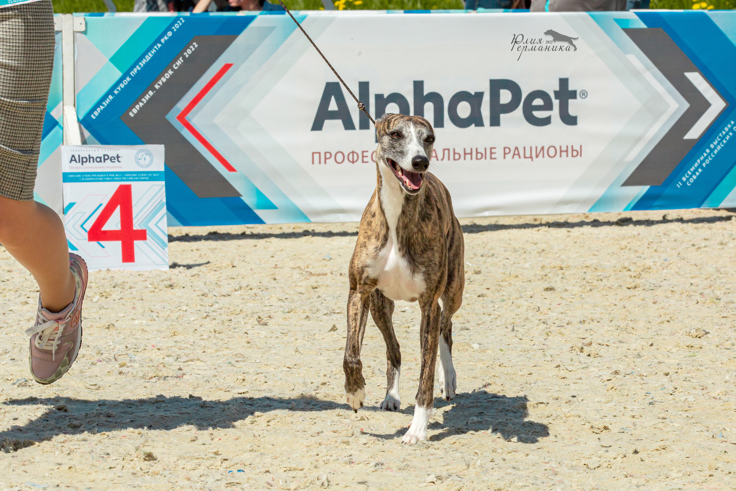 Евразия 21-22 мая 2022. Фотограф-анималист Юлия Германика