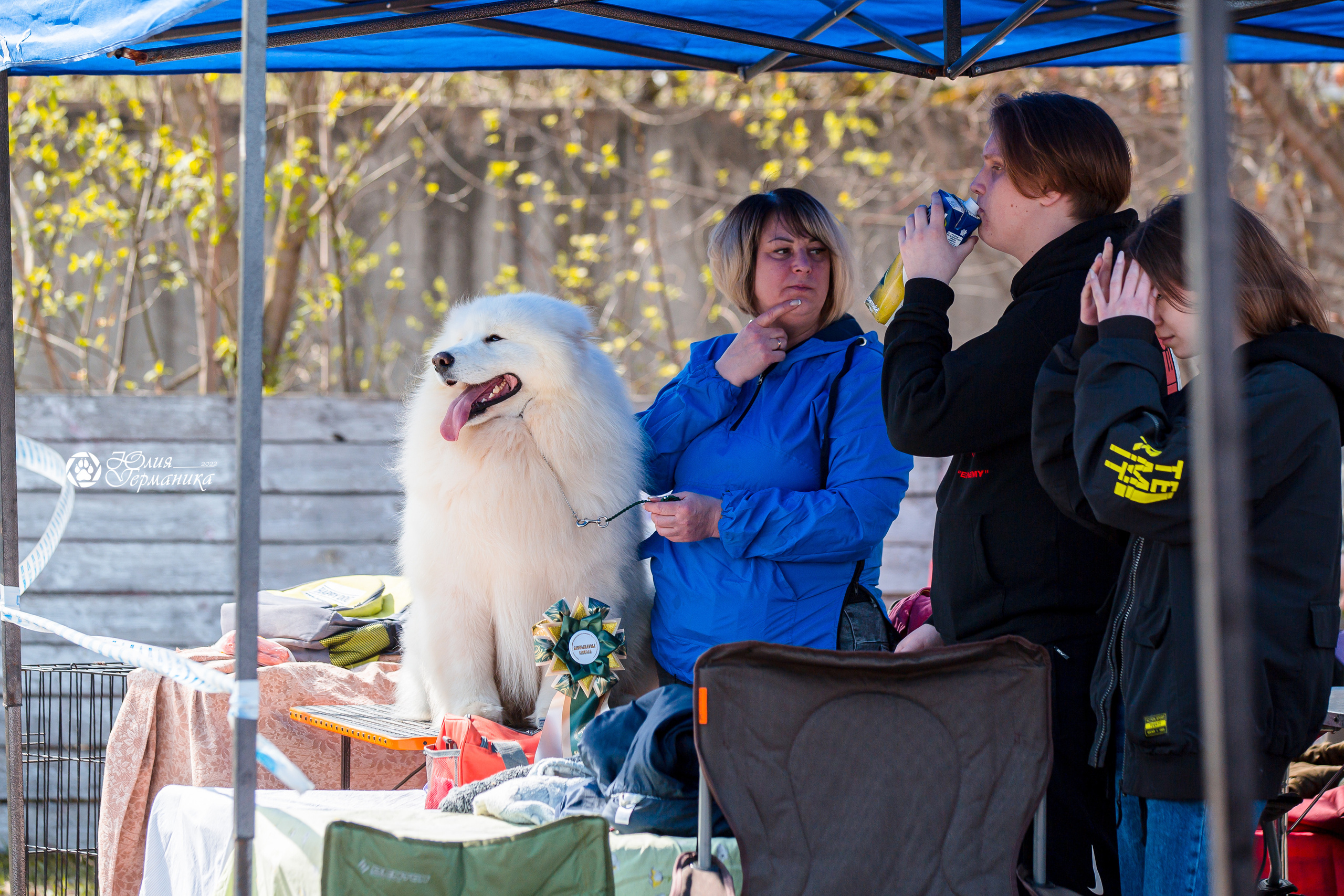 Александров 2хСАС 8 мая 2022. Фотограф-анималист Юлия Германика