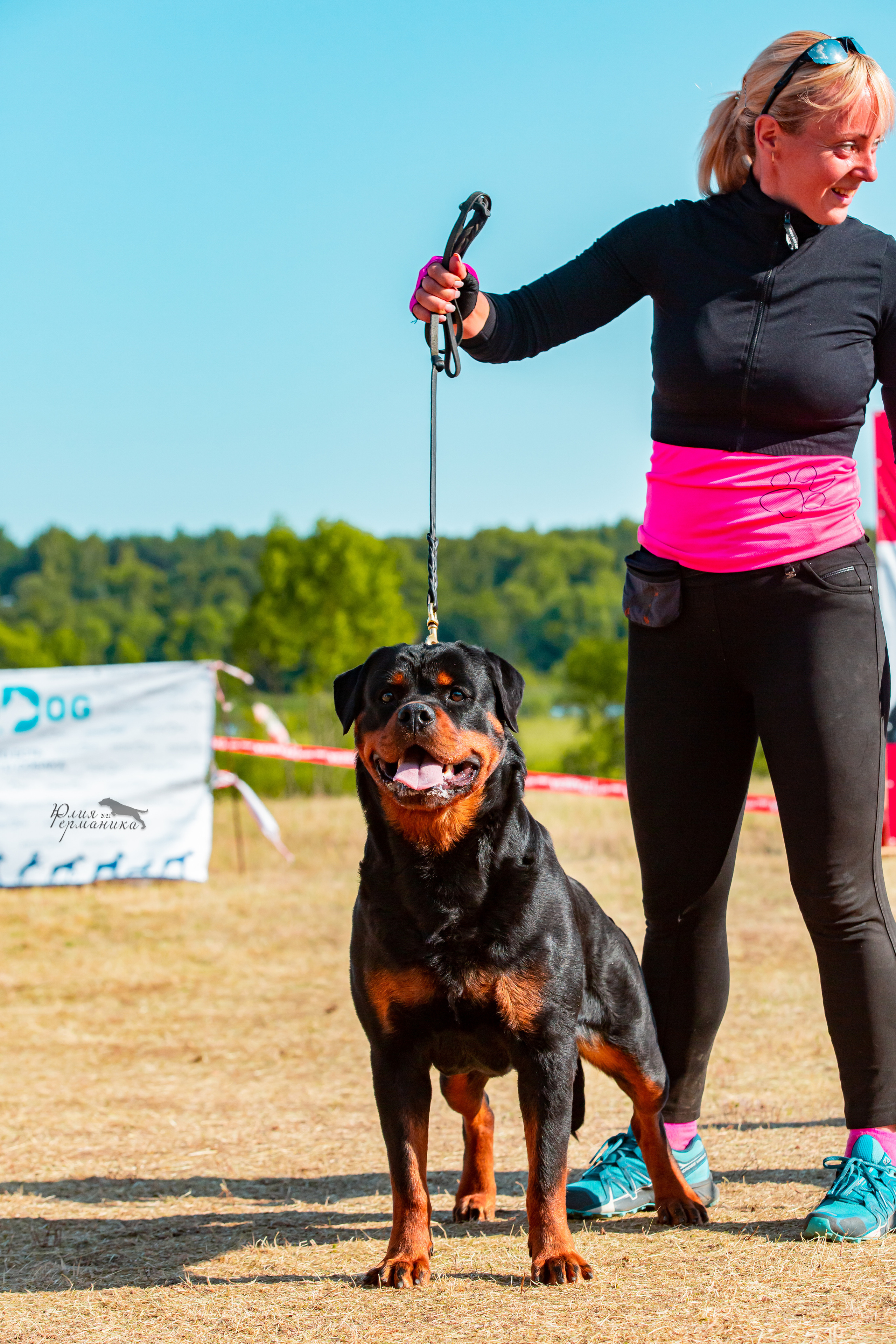 Тверь моно ротвейлеров 2-3.07.2022. Фотограф-анималист Юлия Германика
