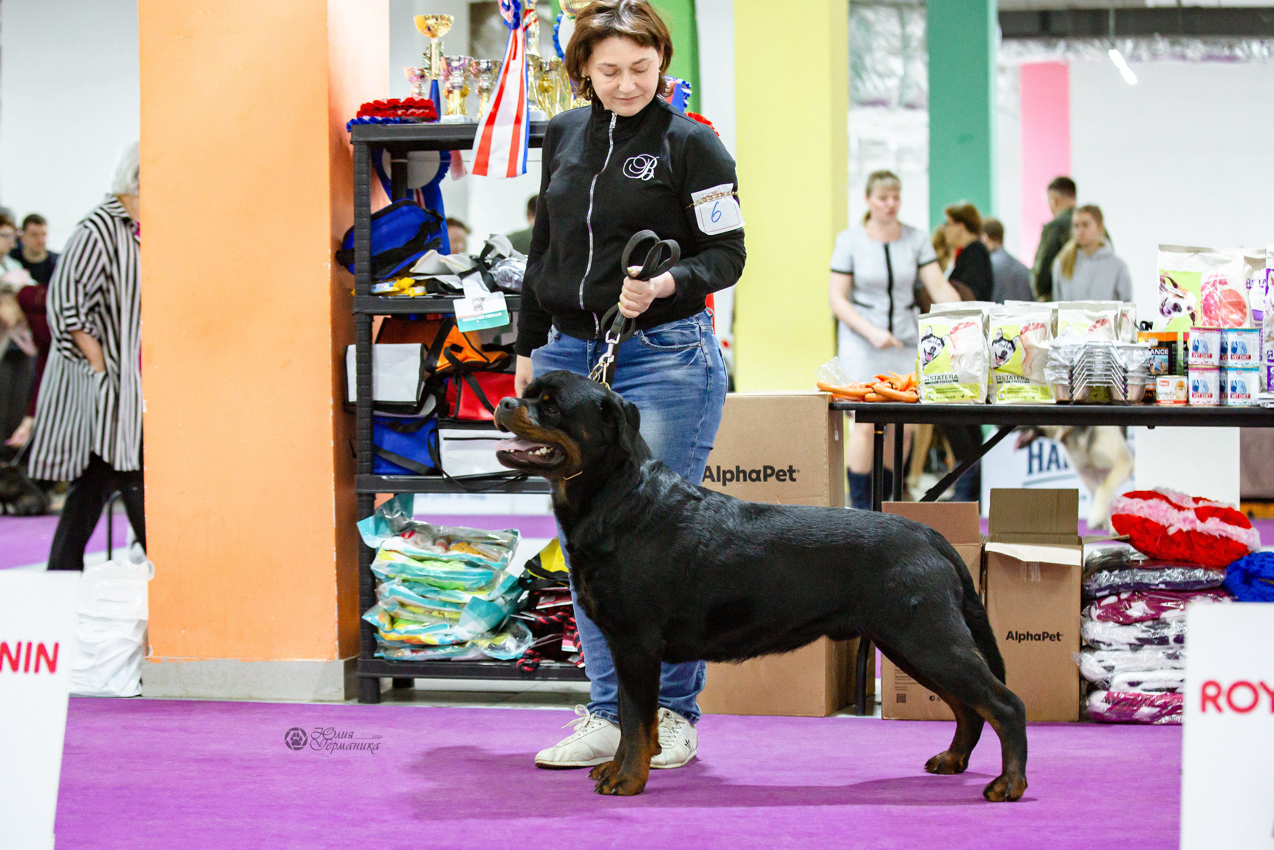 Чайна-Таун 16-17 апреля 2022. Фотограф-анималист Юлия Германика