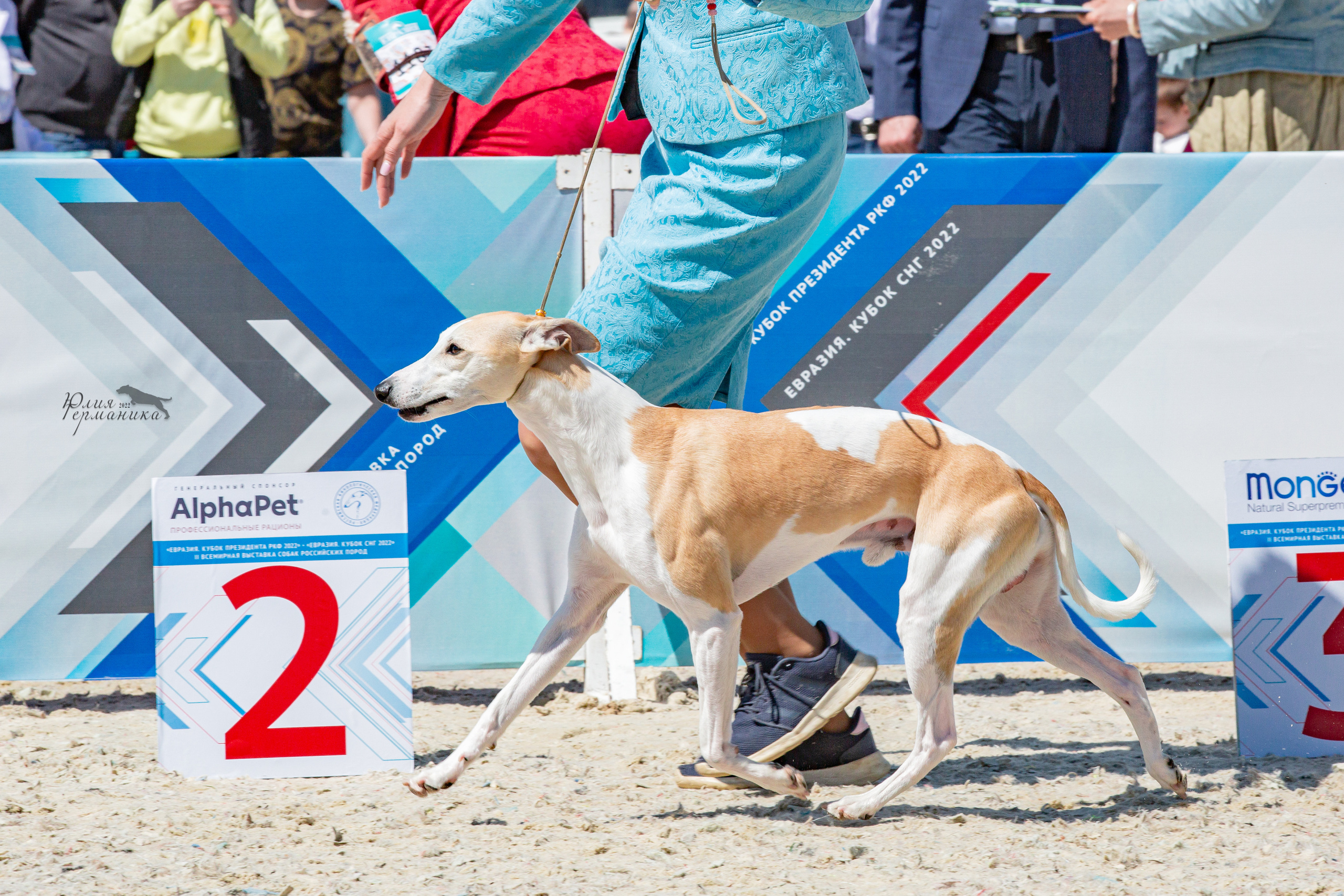 Евразия 21-22 мая 2022. Фотограф-анималист Юлия Германика