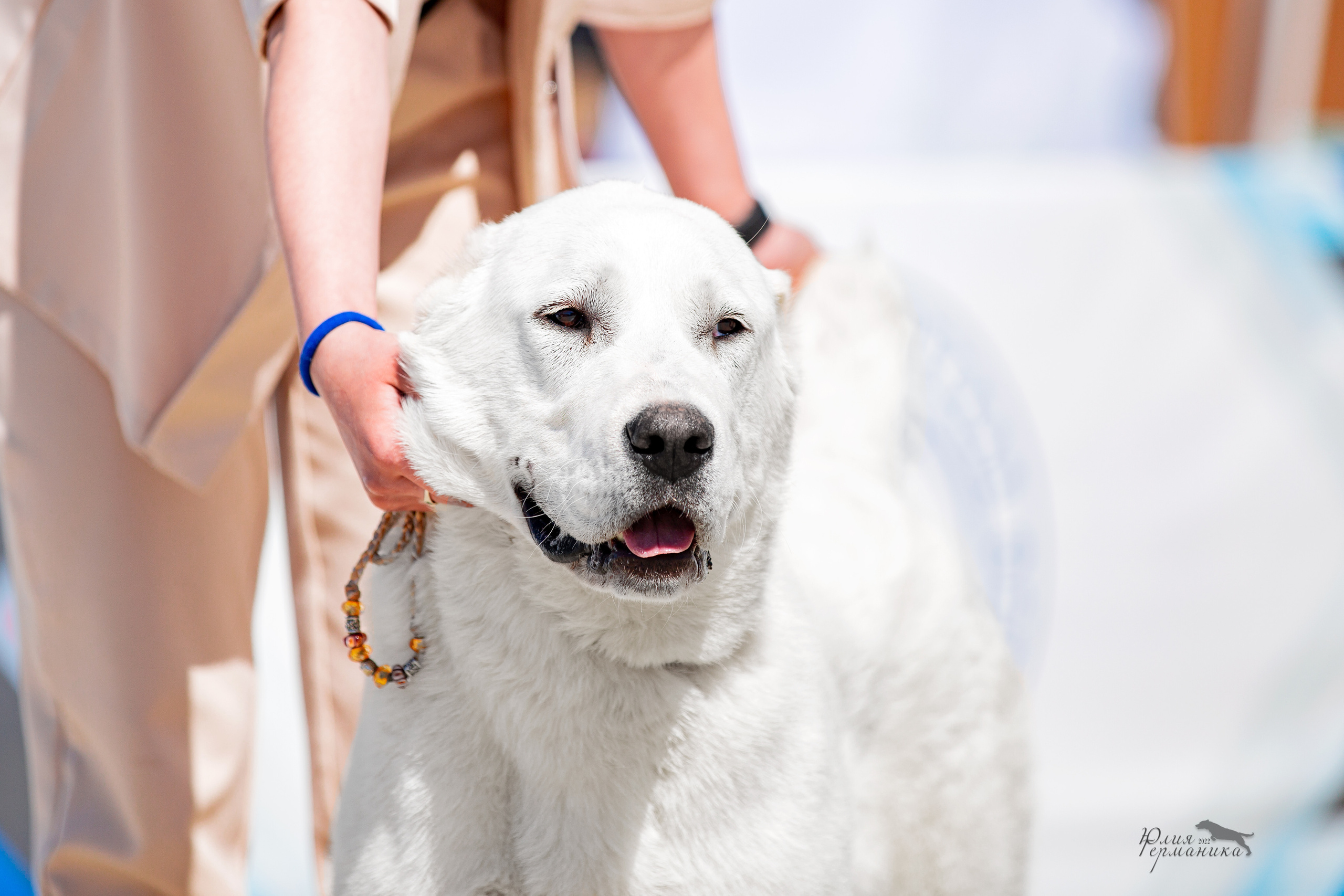 Евразия 21-22 мая 2022. Фотограф-анималист Юлия Германика