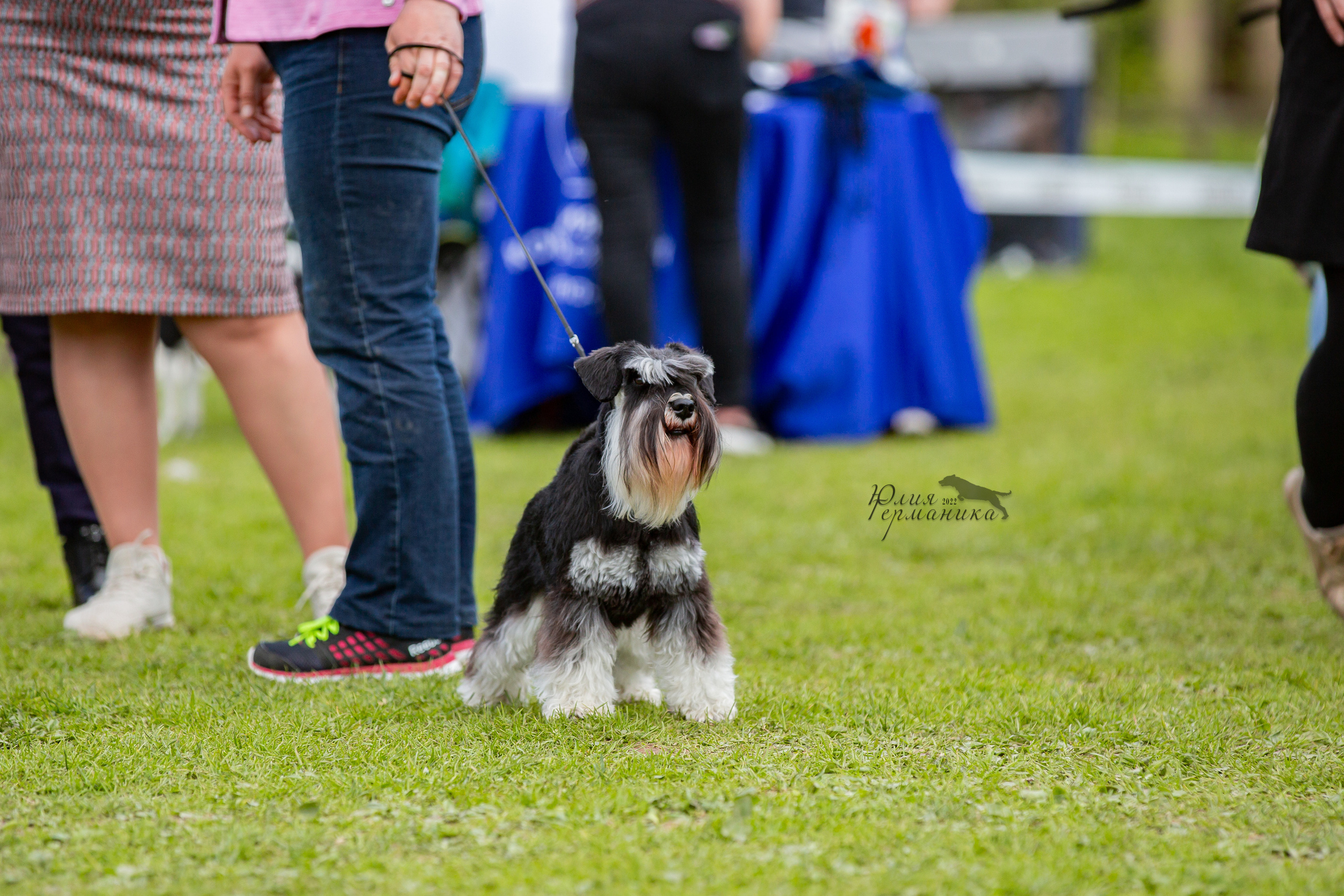 Пушкино 2хЧРКФ 14 мая 2022. Фотограф-анималист Юлия Германика