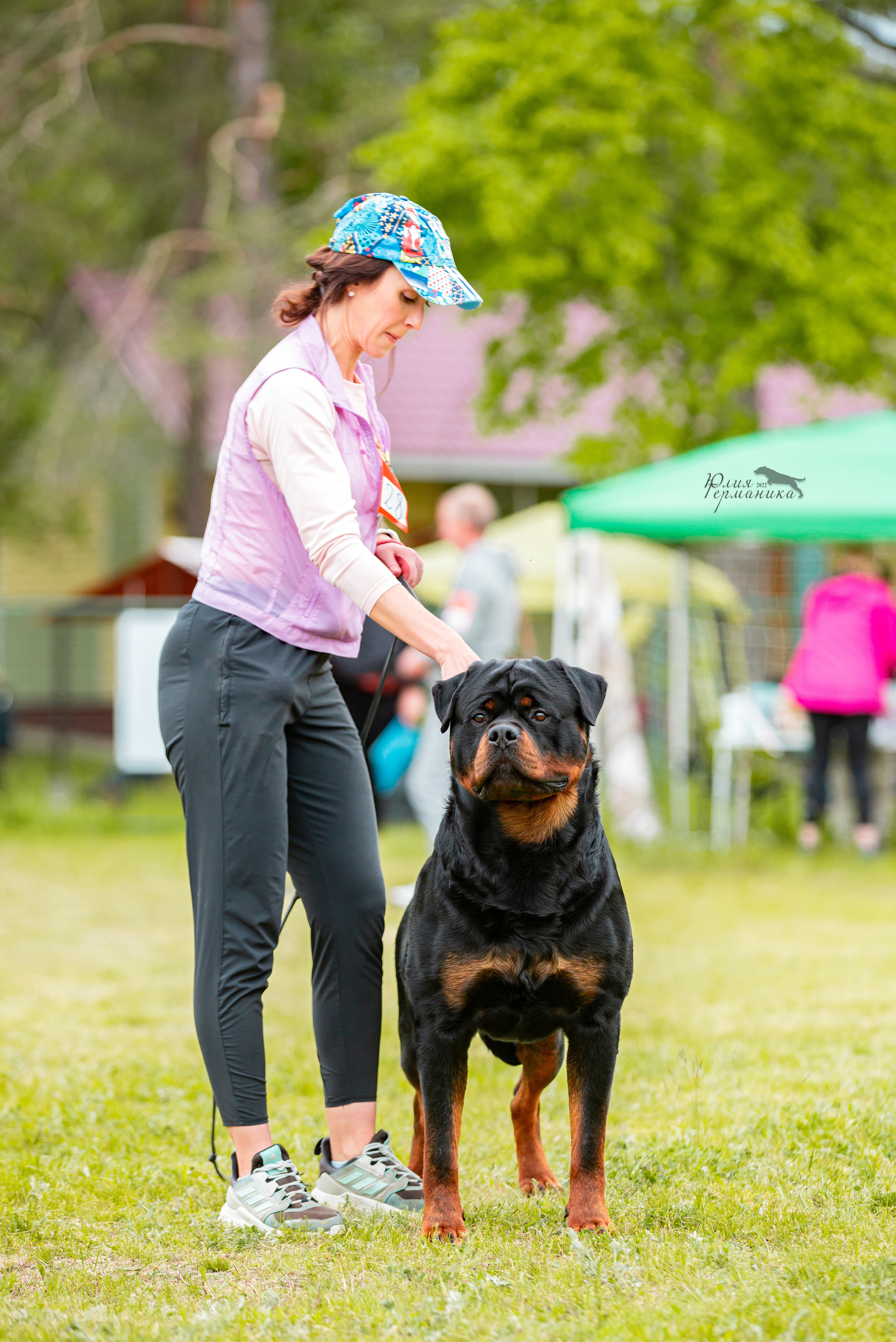 Воронеж моно ротвейлеров 28-29 мая 2022. Фотограф-анималист Юлия Германика