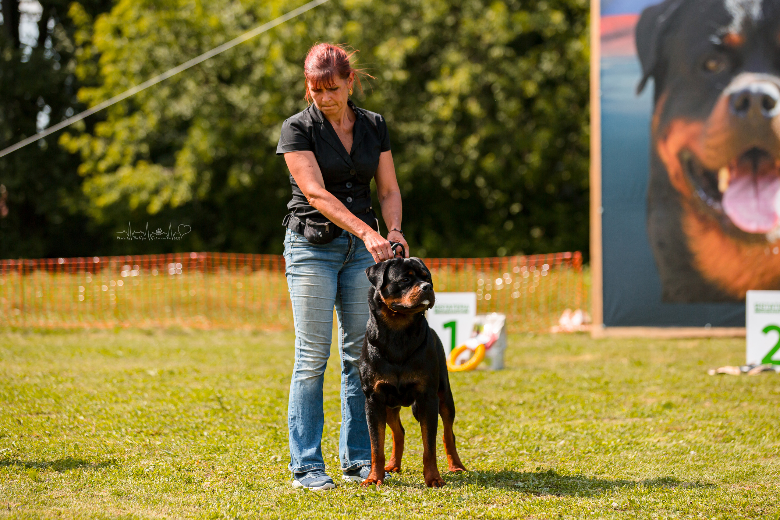 Санкт-Петербург моно ротвейлеров 23.07.2022. Фотограф-анималист Юлия Германика