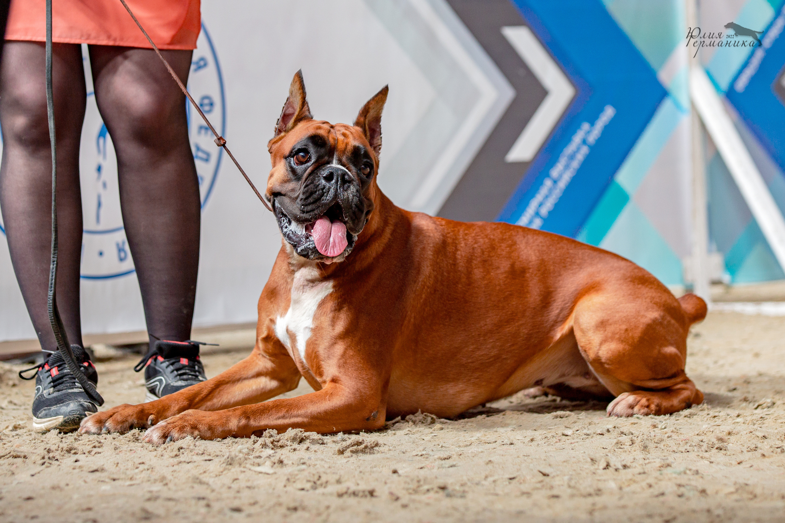 Евразия 21-22 мая 2022. Фотограф-анималист Юлия Германика