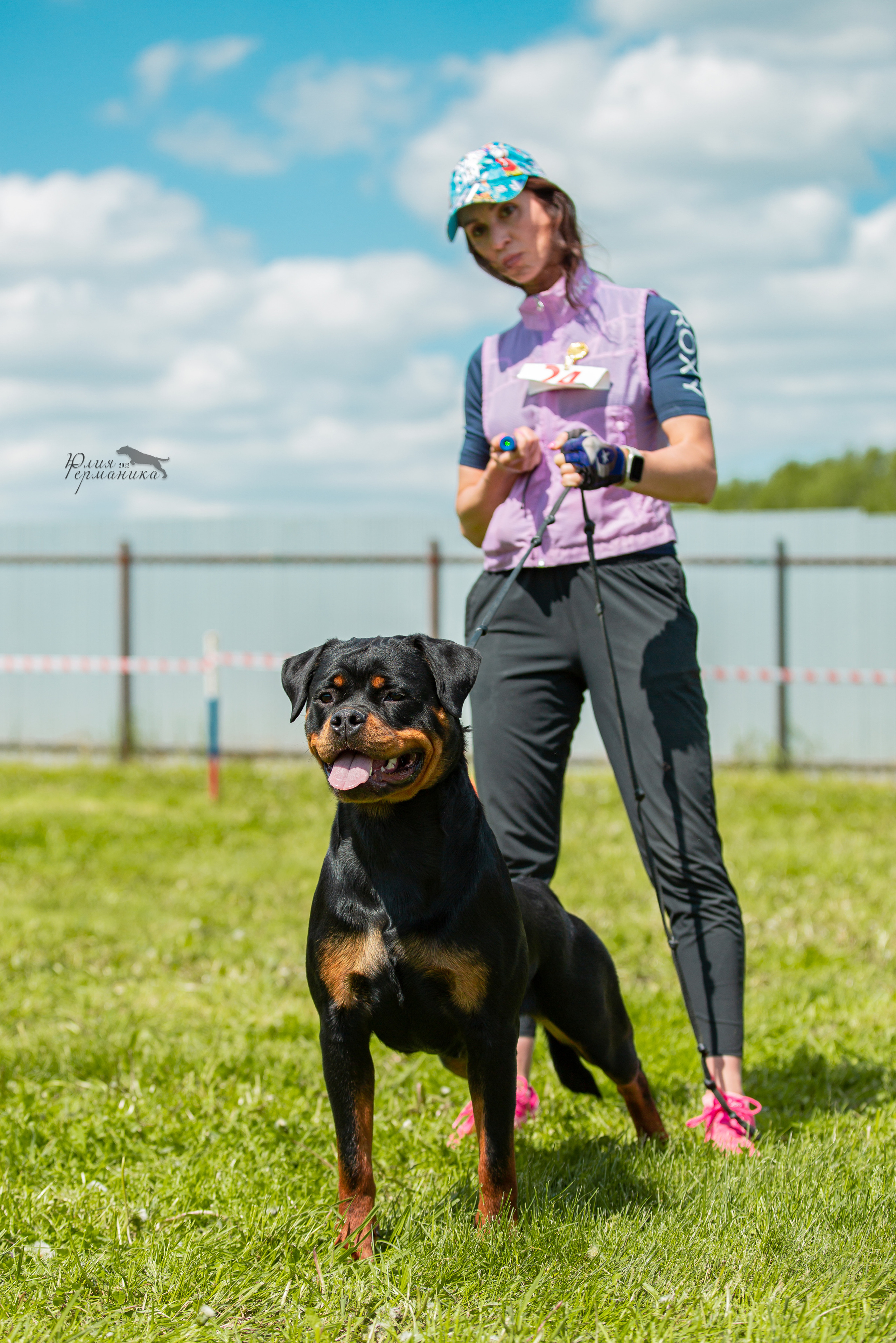 Нижний Новгород моно ротвейлеров 4 июня 2022. Фотограф-анималист Юлия Германика